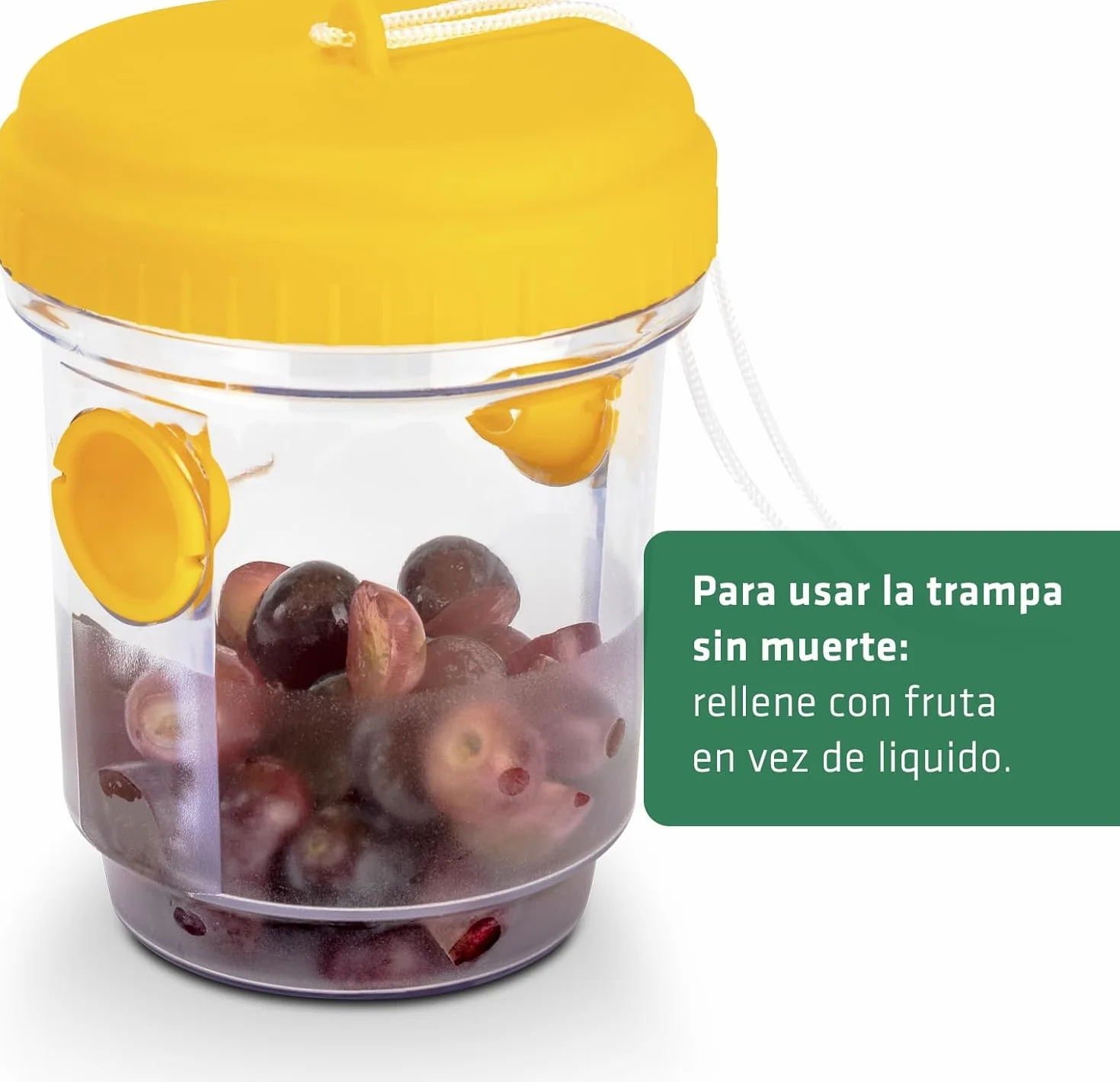 Gardigo Trap - Trampa para atrapar Moscas (2 Piezas, no es tóxico), Color Amarillo Repeler plaguicidas