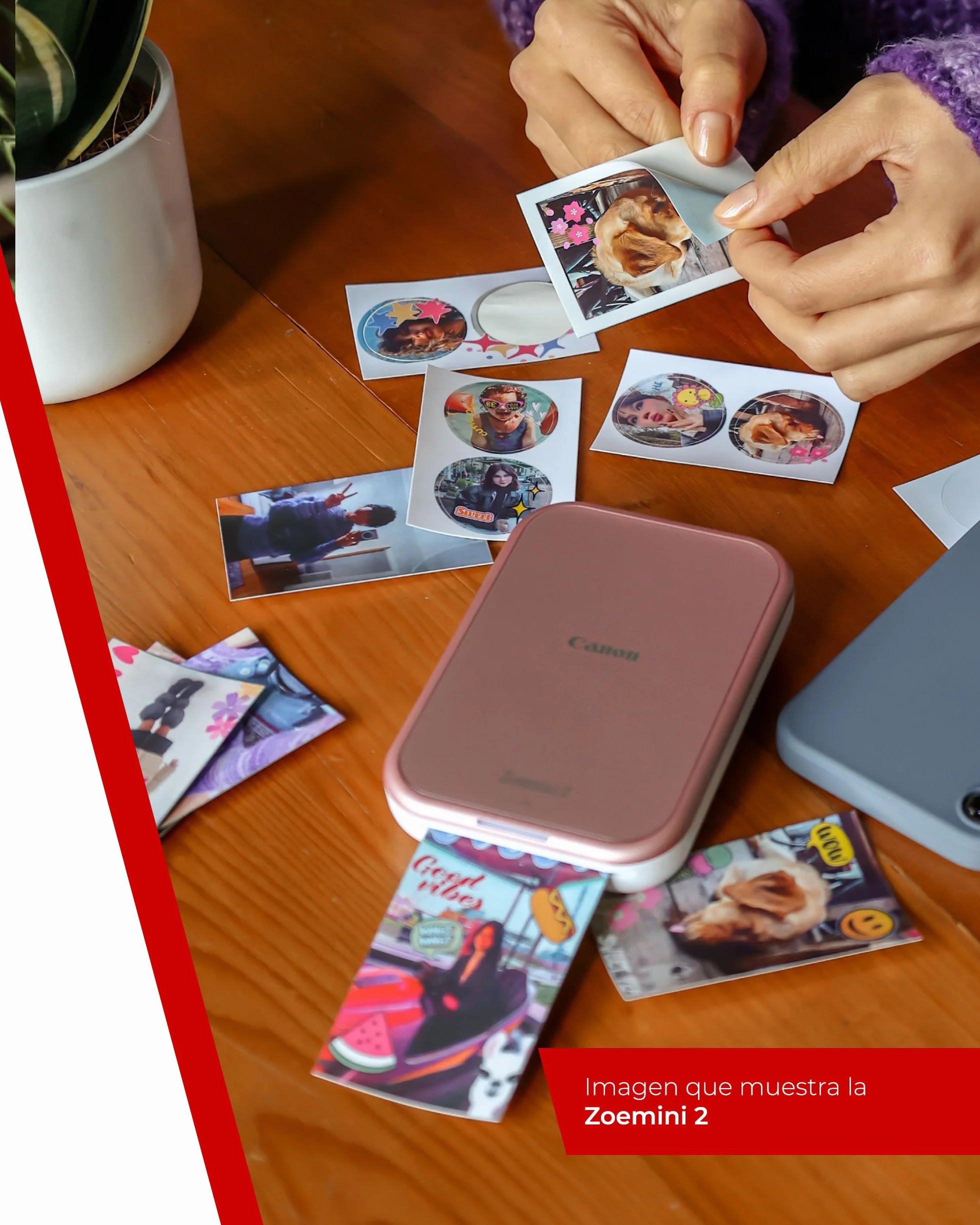 Canon Zoemini 2 Impresora Fotográfica Instantánea Compacta Bluetooth 5.0 USB-C Rosa