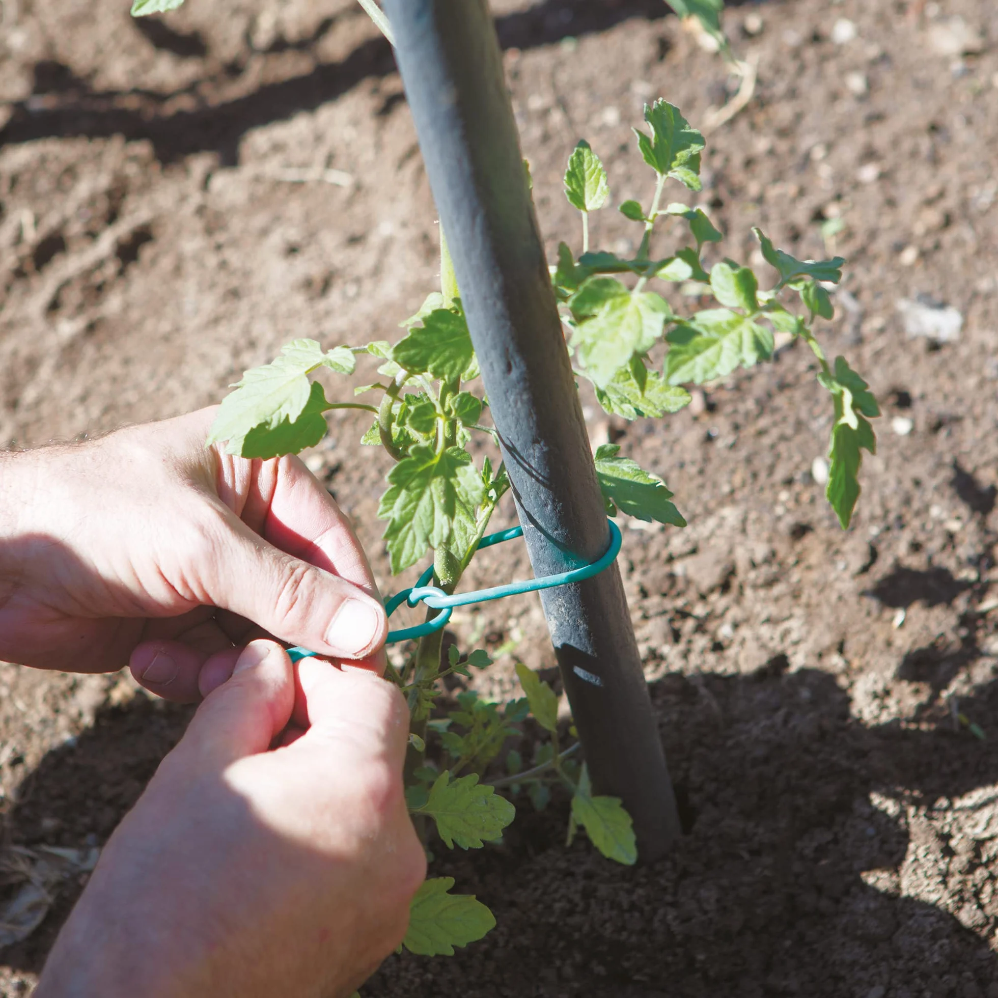 TENAX Tubo Agrícola para Plantas, Verde 1000 g, Diámetro 2 mm, Longitud Aprox 240 m, Tubo Agrícola de PVC, Ataduras para Plantas