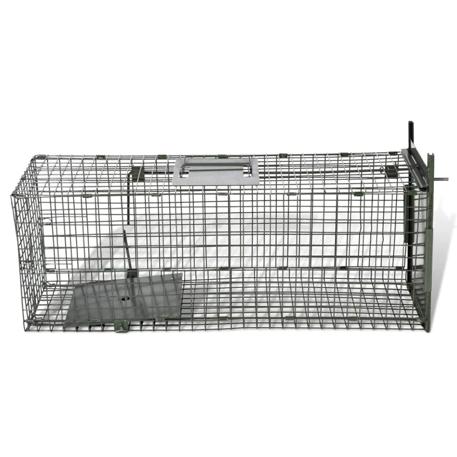 BaraSh Trampa para Animales Vivos 1 Puerta Trampa Ratas Grandes Jaula Trampa Pajaros