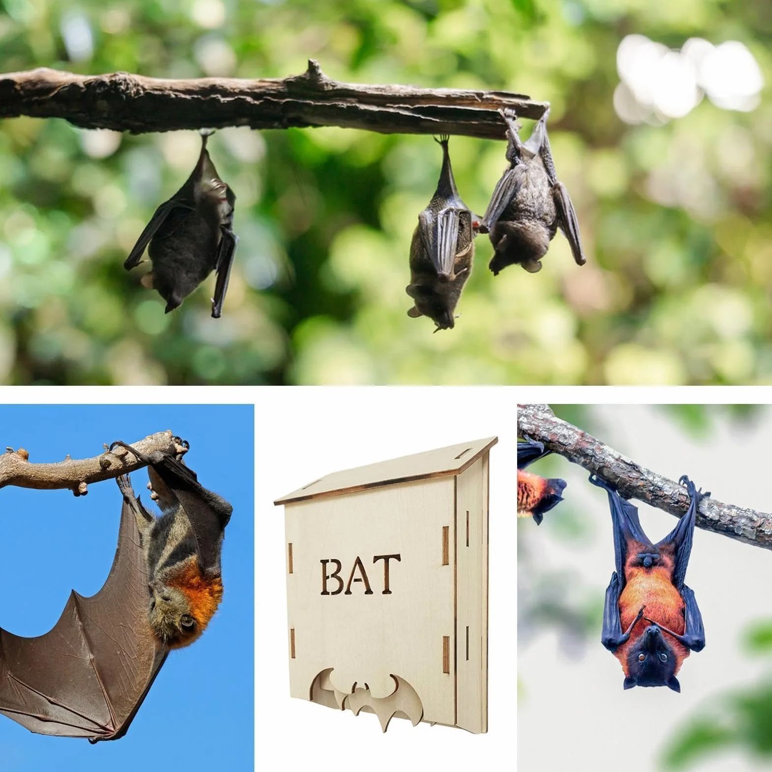 Bat House, Wood Patio Animal Shelter, Backyard Bat House | Wooden Outdoor Box For Homeowners Nature Lovers Farmers Backyard Garden Farm Orchard Park Yard