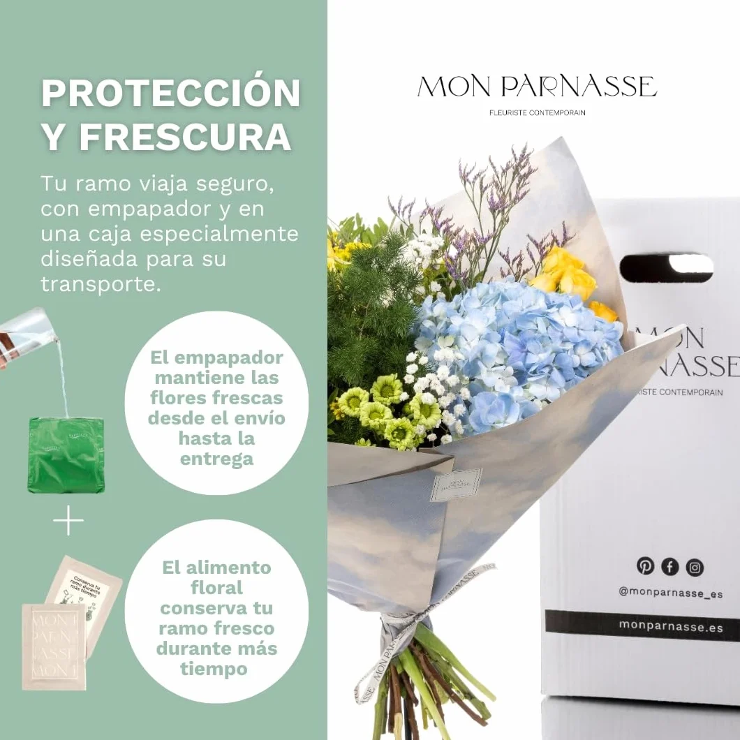 Mon Parnasse - Ramo de Flores Naturales con Dedicatoria, Incluye Tarjeta Personalizada, Set Alimento Floral, Envoltorio Elegante, Regalo, Decoración, Frescura y Aroma - Radiante