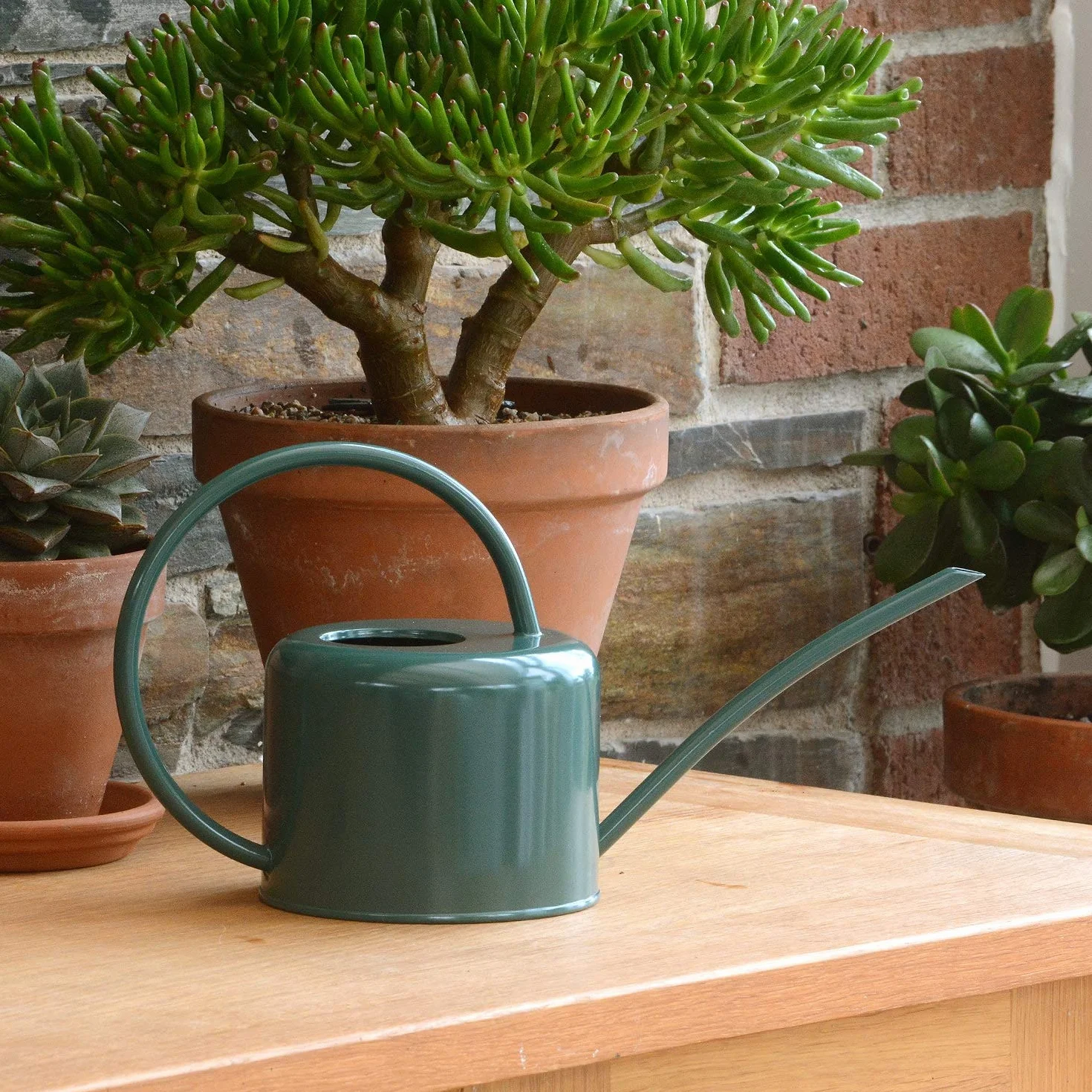 CKB Ltd® Regadera de interior pequeña de 1,1 L, acero galvanizado con recubrimiento en polvo de color verde oscuro, para plantas de interior, diseño contemporáneo de metal con boquilla estrecha y