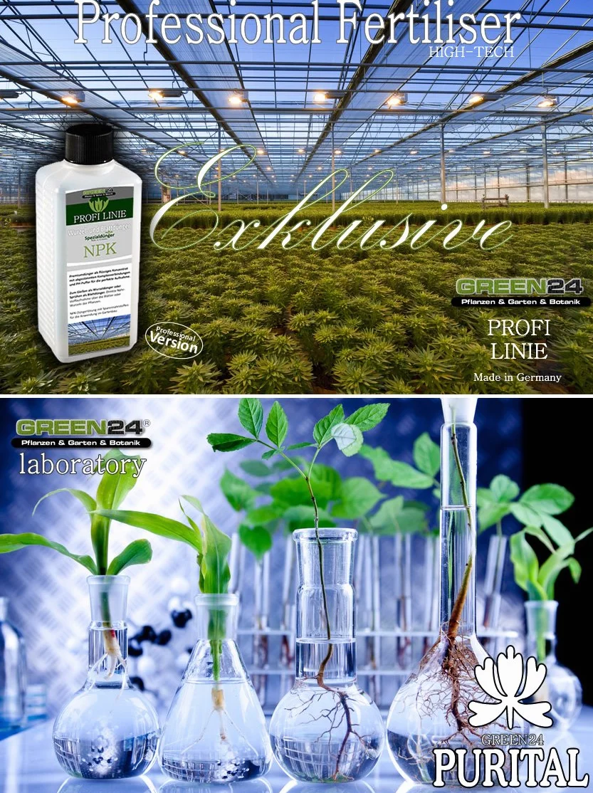 Fertilizante líquido para plantas de frutas del bosque y frutales, de alta tecnología con nitrógeno, fósforo y potasio, raíces, tierra, foliar
