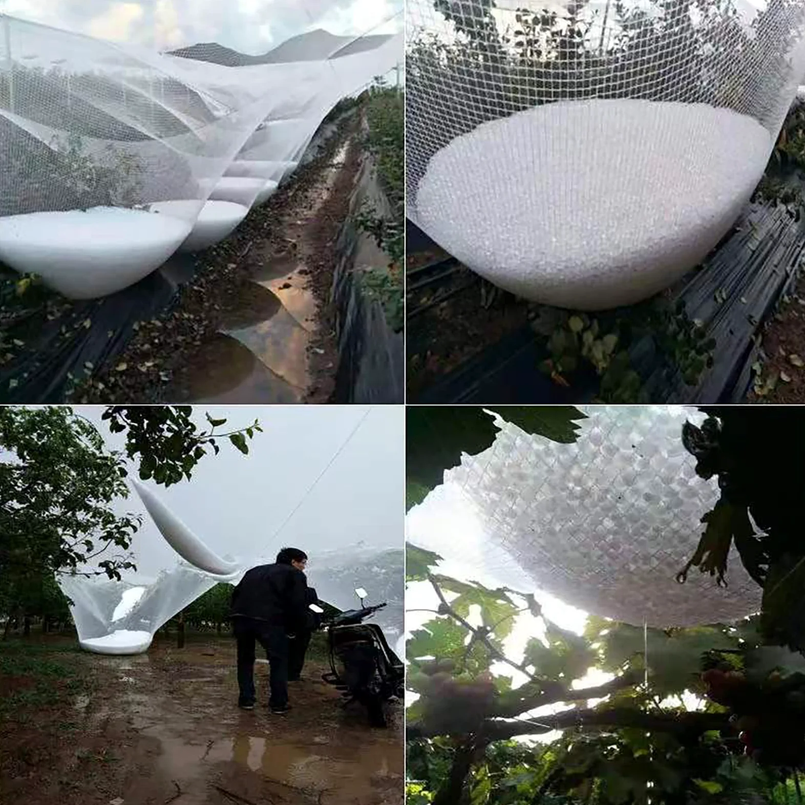 Malla antigranizo para jardín y huerto, 6 x 10 m, protección de plantas, cubierta de granizo para verduras, frutas y camas elevadas, resistente a la intemperie
