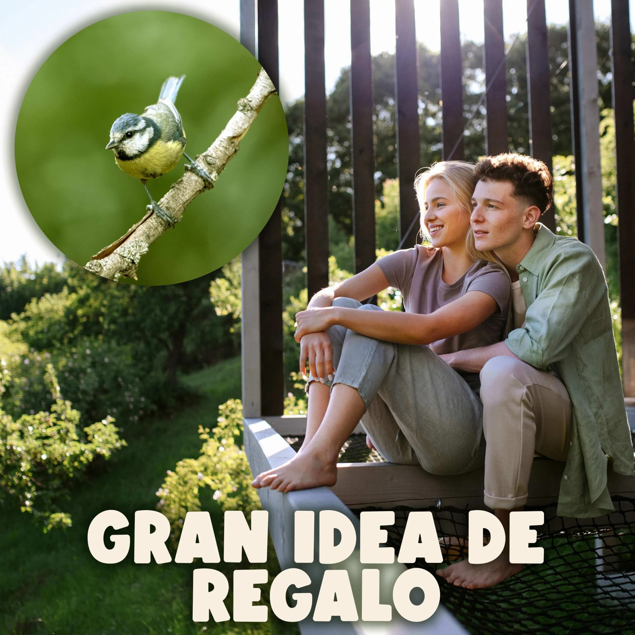 SWISSINNO Comedero para Pájaros Colgante – Davos Smart Birds - Dispensador con Bandeja - Tolva Segura contra Roedores - para Jardín y Balcón - Azul Claro