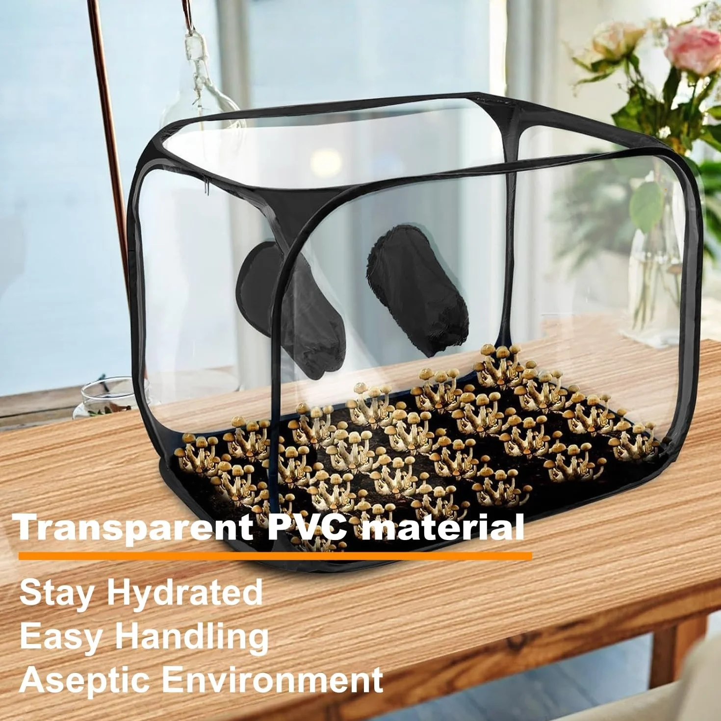 Kit de cultivo de hongos plegable, caja de aire silenciosa, 85 x 52 x 52 cm, tienda de cultivo de hongos transparente, kit de micología pop-up portátil para intercambio de aire fresco | cultivo de