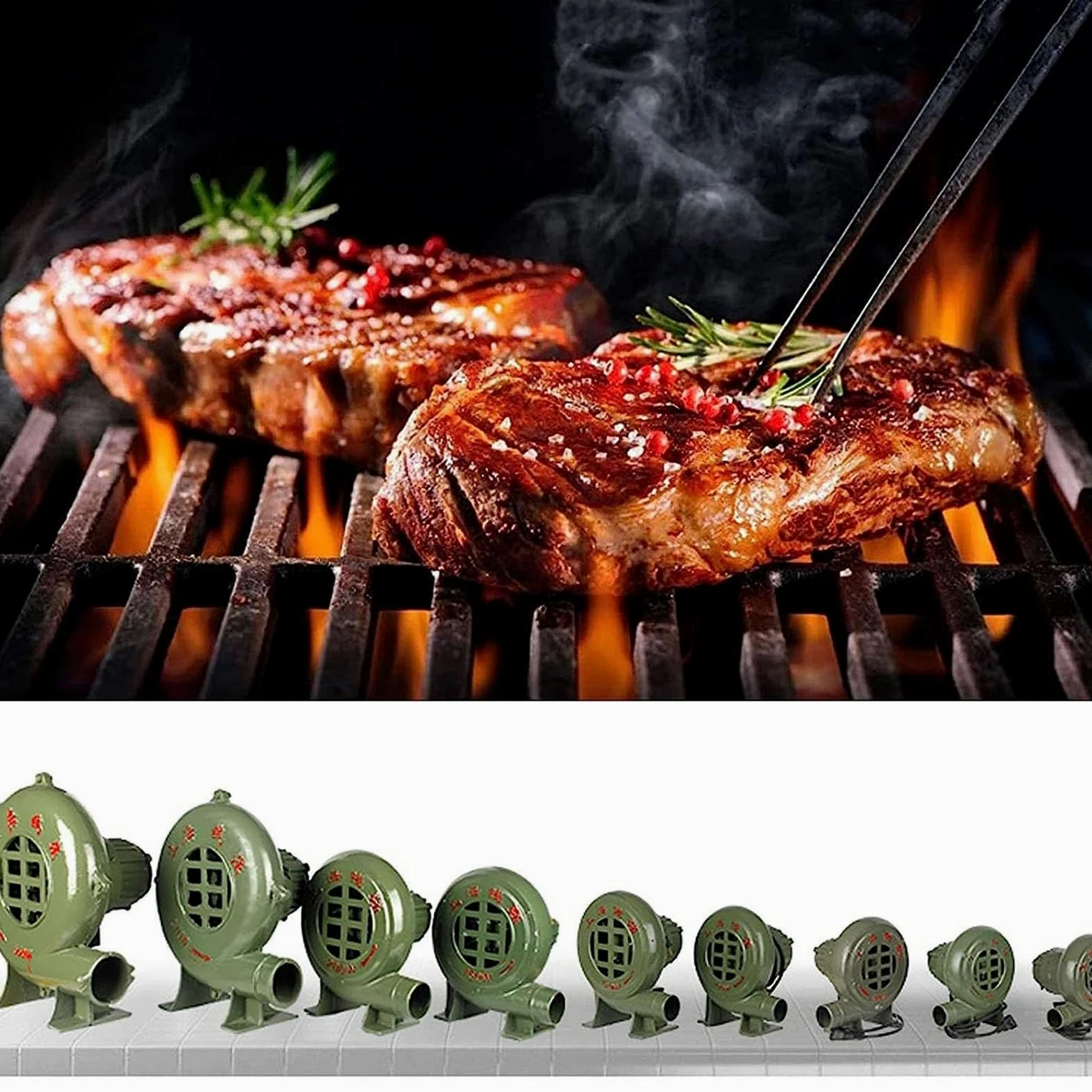 Hinchable Ventilador De Aire Eléctrico - 220V Soplador De Aire Eléctrico Centrífugo, BBQ Que Cocina El Ventilador Manual, Parrilla del Encendedor del Carbón De La Fan, para Camping/Picnic(40W)
