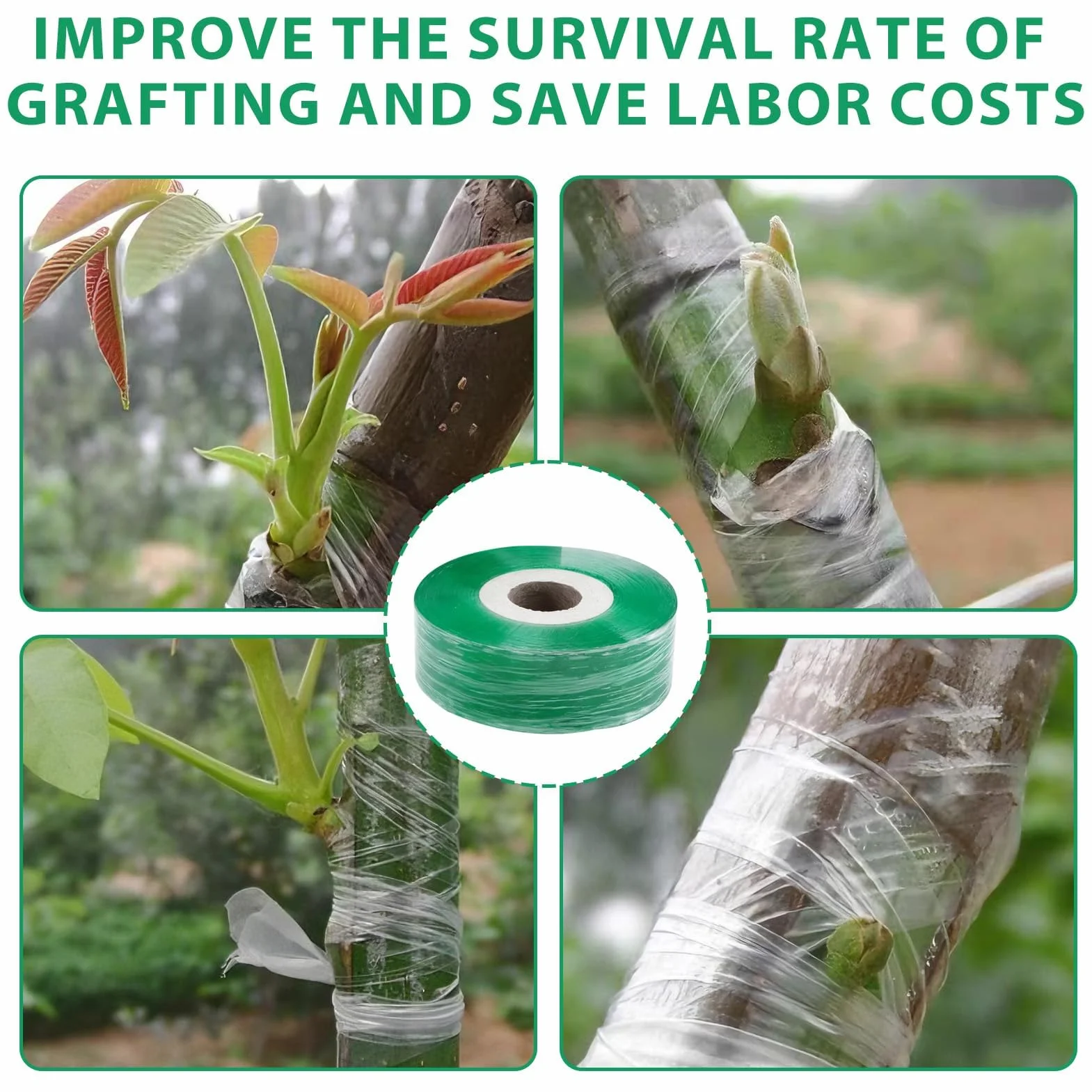 Cinta de Injertar Transparente Árboles de Jardín, 4 Rollos, Biodegradable Cinta Injerto Autoadhesivo, para Árboles Frutales, Plántulas, Flores y Viveros