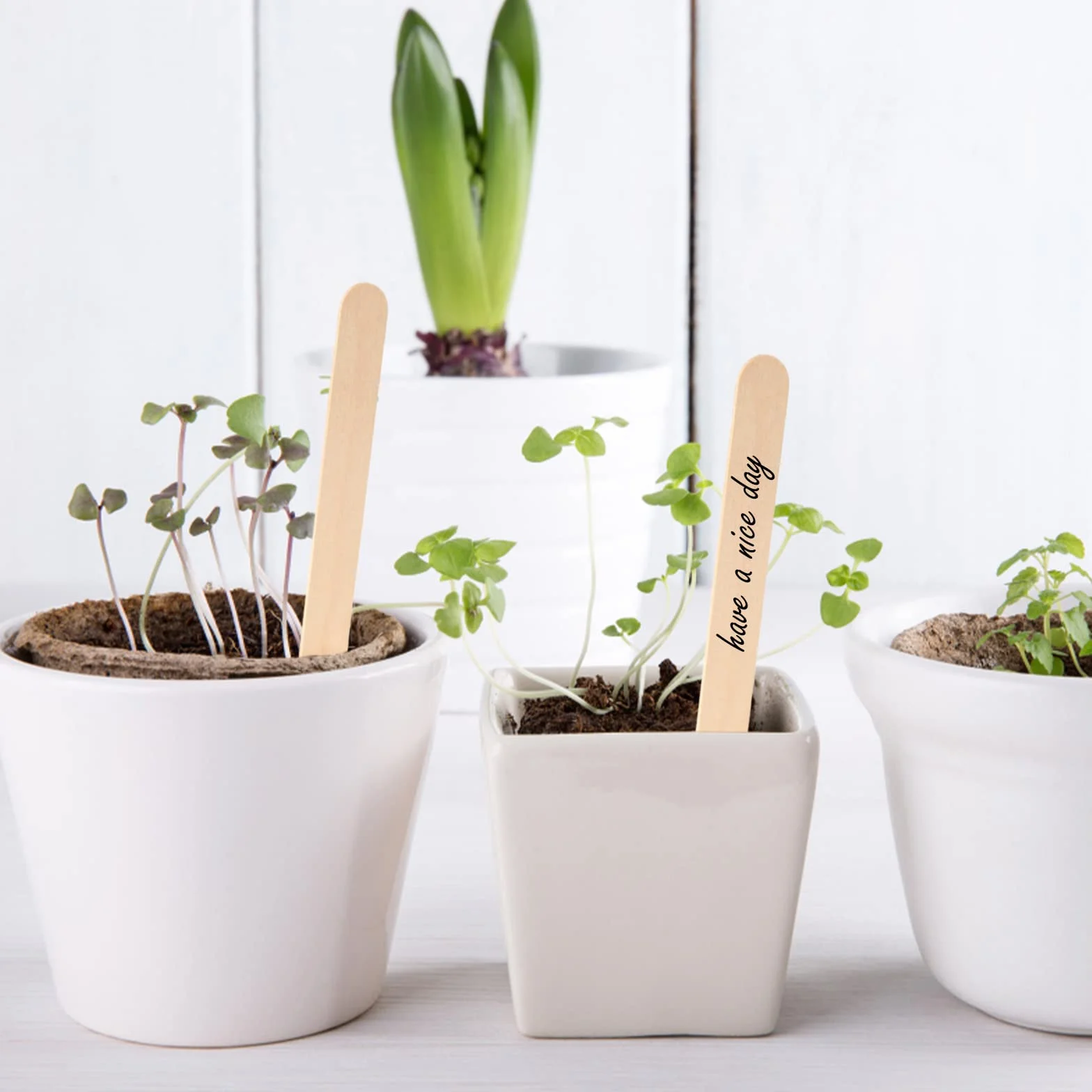 KINGLAKE 100 etiqueta de planta de madera 15x1,6 cm etiqueta de jardín natural palo de madera para manualidades hecho en casa