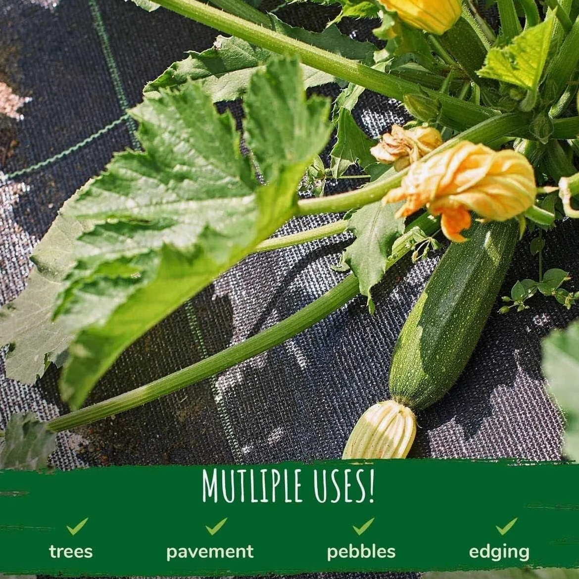 EPANO LXXW Malla Antihierbas Geotextil de la Tela del Paisaje de la Cubierta del Suelo del Control de Malas Hierbas del jardín for Cultivar un huerto, cultivando, Agricultura(1.52x15m/5x50ft)