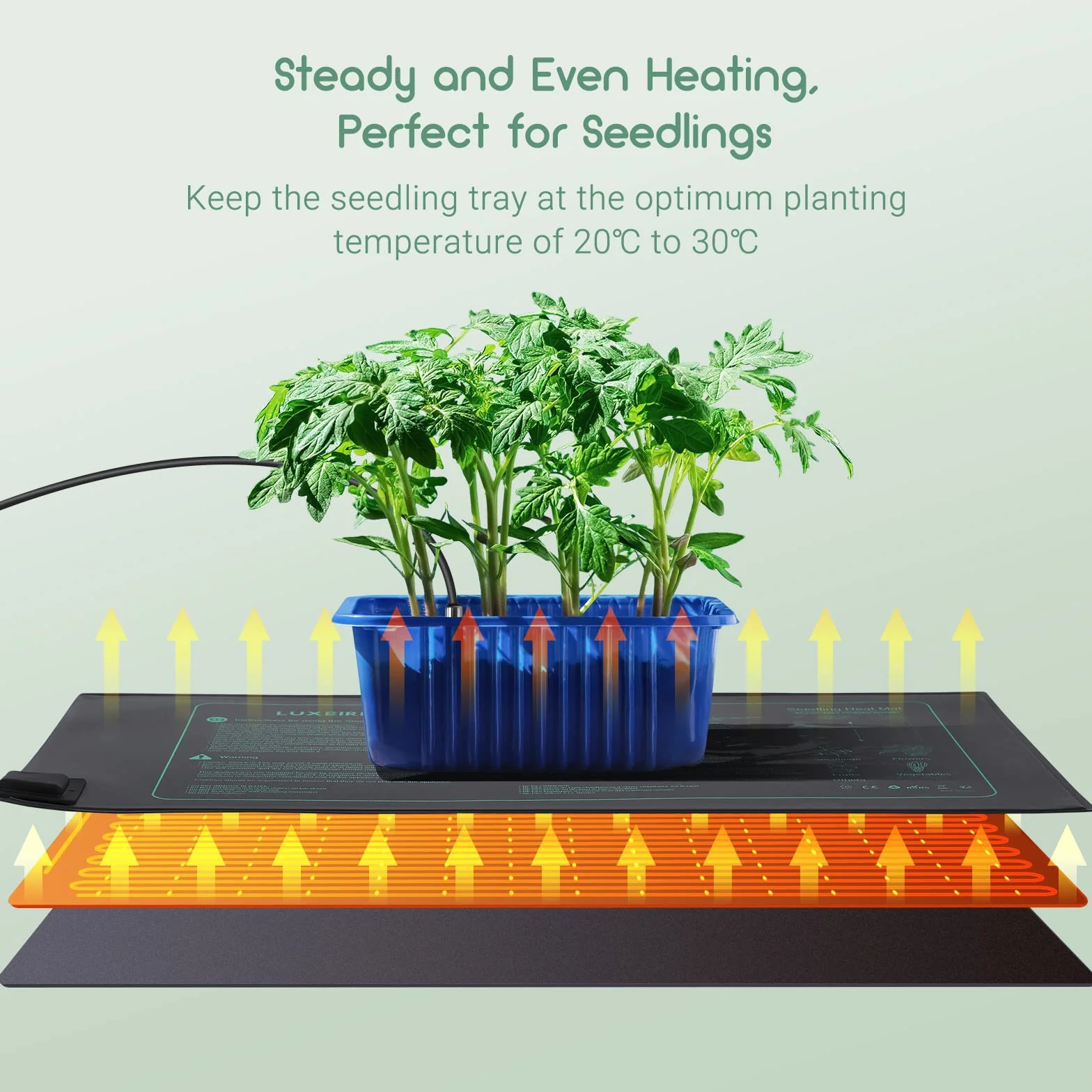 Luxbird Estera Calefactora para Plantas con Termostato Digital, Sonda NTC y Protección IP67, 30W, 52 x 25 cm, Estera térmicas Ideal para Germinación, Invernaderos, Elaboración de Cerveza