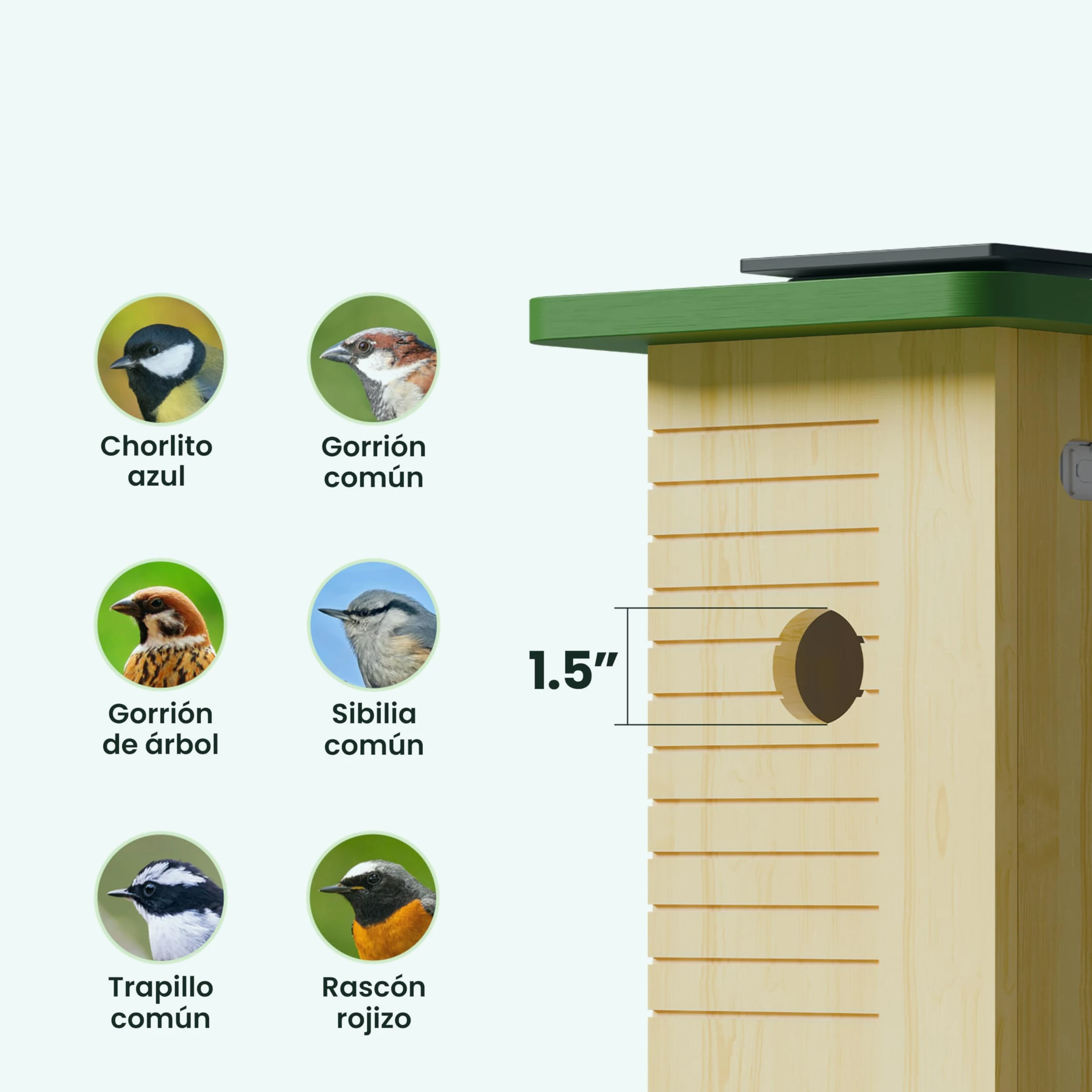 Birdfy Pajarera con cámara, nido con cámara, cámara de 2 millones de píxeles, para exteriores, observación en tiempo real de la construcción de nidos y cría de aves, detección de comportamiento de