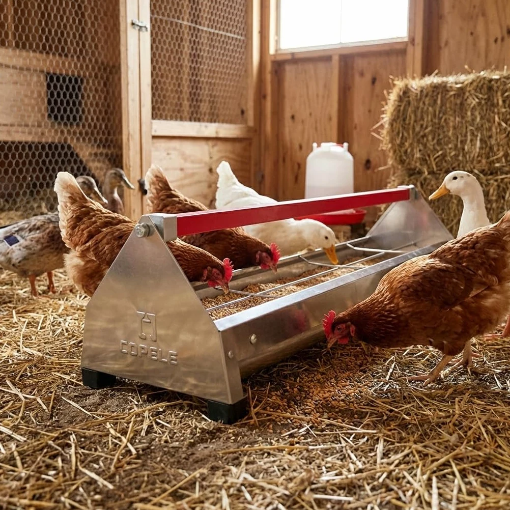 Suinga Comedero gallinas Acero Inoxidable | 61x19x19,5 cm | Alta Resistencia corrosión | Higiénico y Duradero | Uso Interior y Exterior