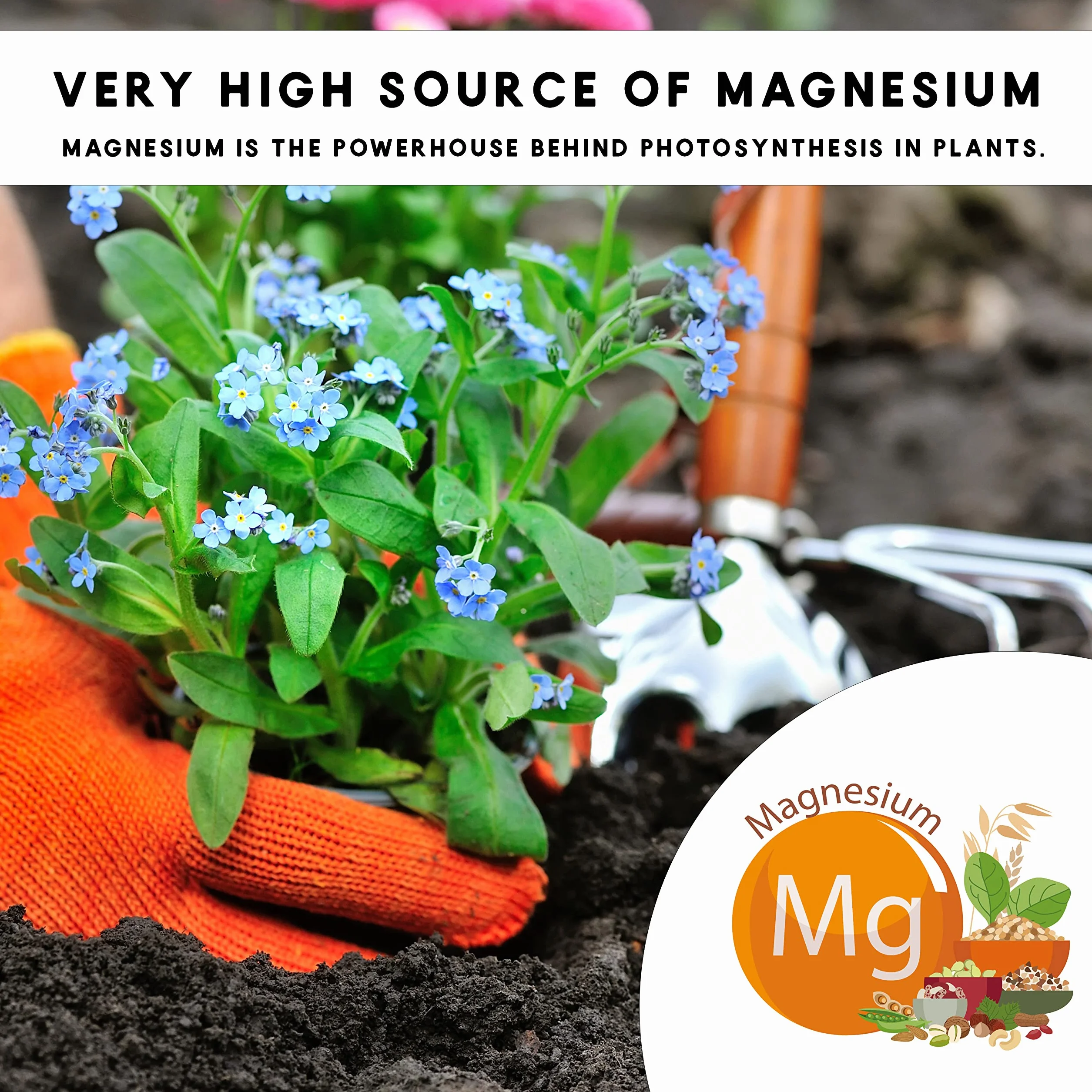 Abono Ecológico de Sales de Epsom (Sulfato de Magnesio). Fertilizante rico en magnesio para todo tipo de cultivos, tomates, cítricos, frutales, rosales y plantas de exterior e interior (2,5 kg)