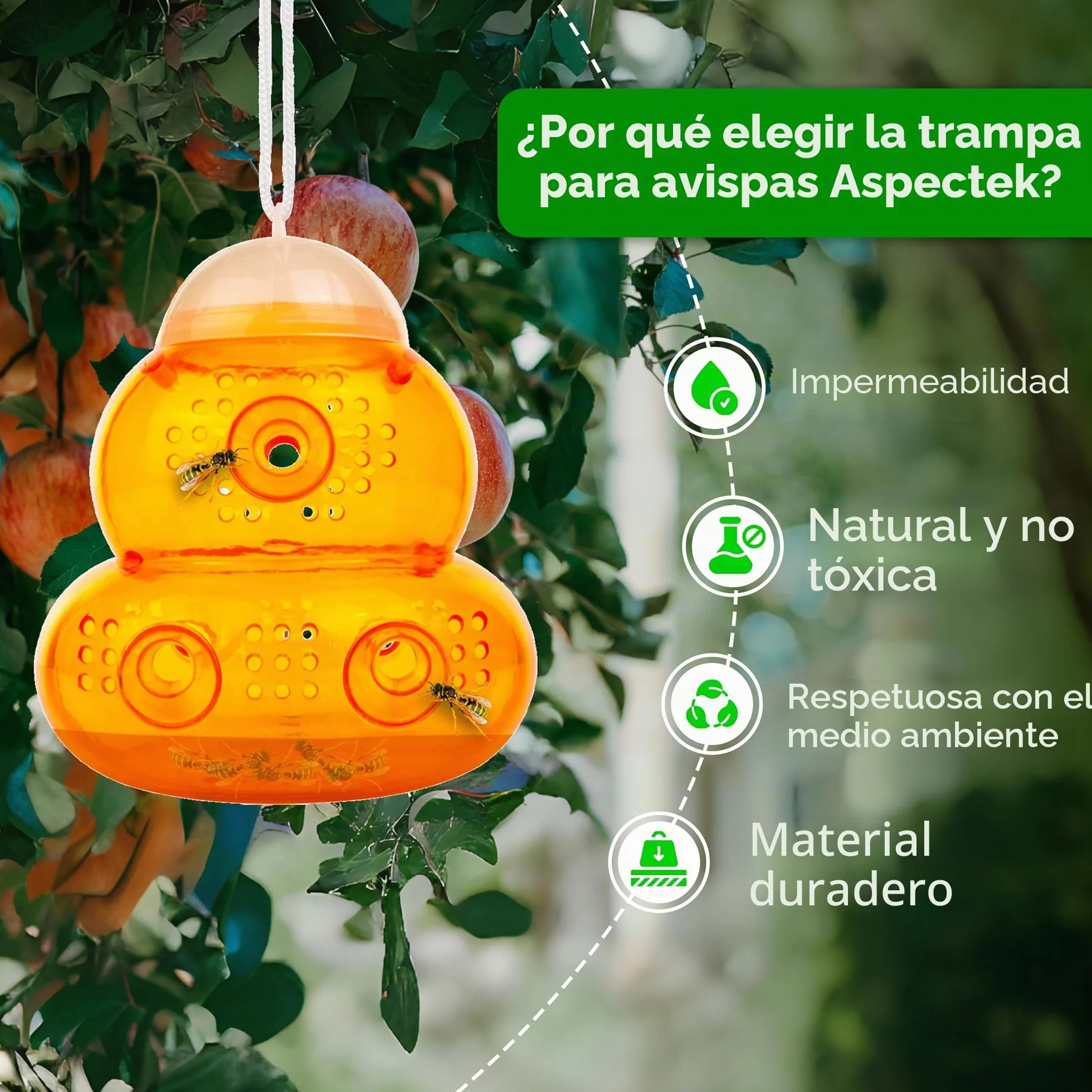 ASPECTEK Trampa para Avispas Trampa para Avispón, Abeja y Avispa Abejorro. 2 Unidades (Trampa de Abeja)