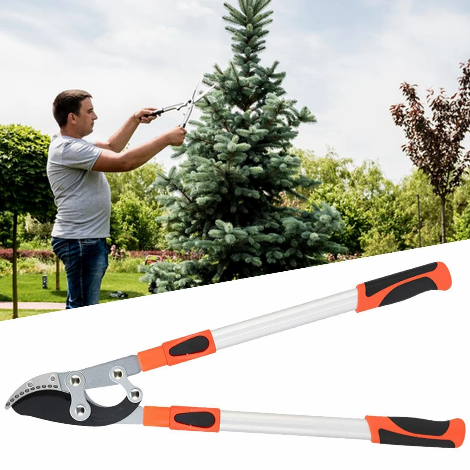 Tijeras de podar telescópicas con extensibles, resistentes tijeras de podar, cortadoras de plantas, para arbustos, flores, plantas, bonsáis, zarcillos, exteriores, patio, , paisaje