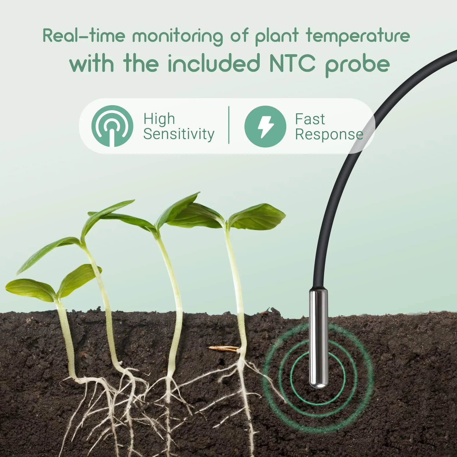 Luxbird Estera Calefactora para Plantas con Termostato Digital, Sonda NTC y Protección IP67, 30W, 52 x 25 cm, Estera térmicas Ideal para Germinación, Invernaderos, Elaboración de Cerveza