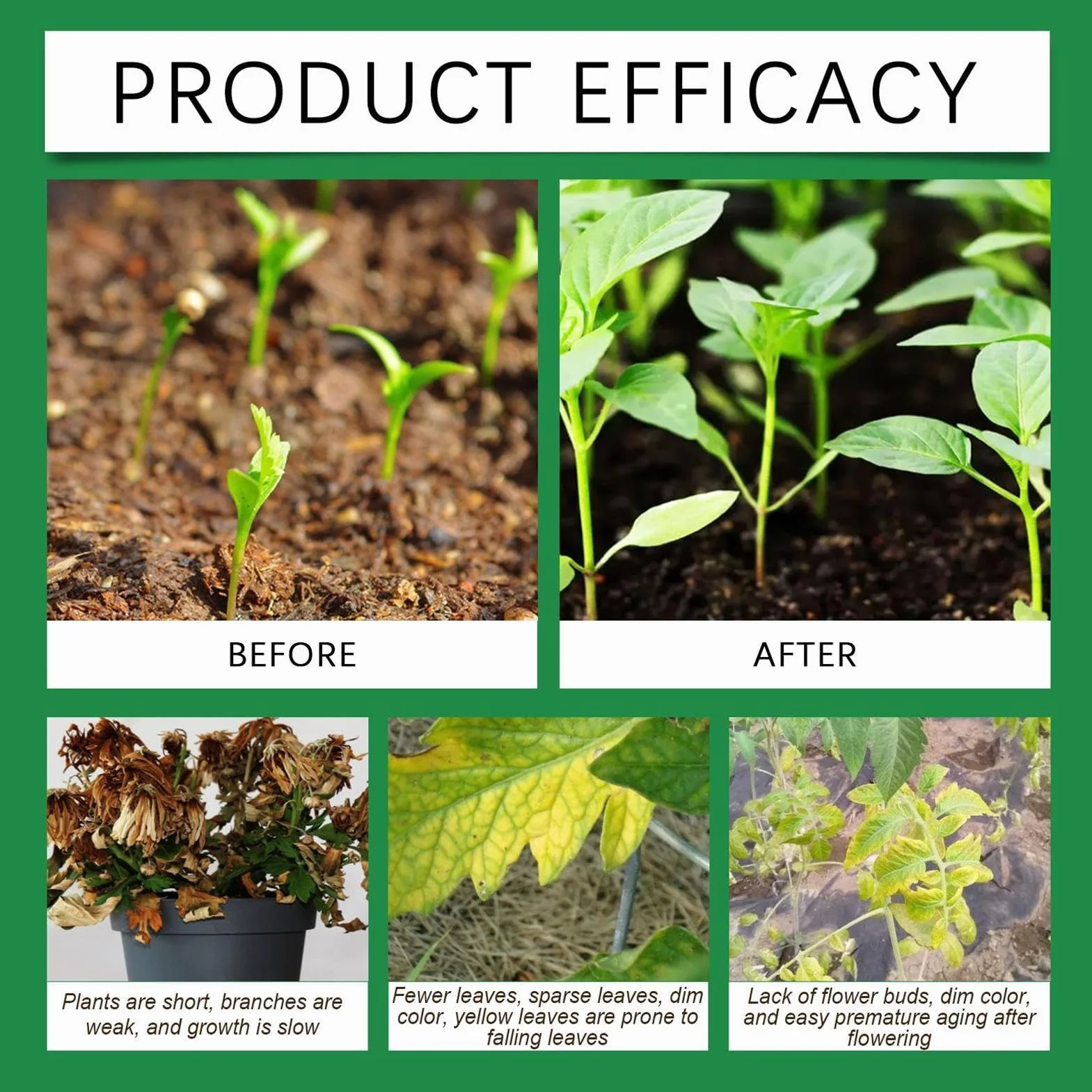 Revitalizador del suelo | nutrientes para el crecimiento de las plantas | Promotor del crecimiento de raíces - Para jardineros, agricultores, cultivadores, paisajistas, patios, granjas, huertos