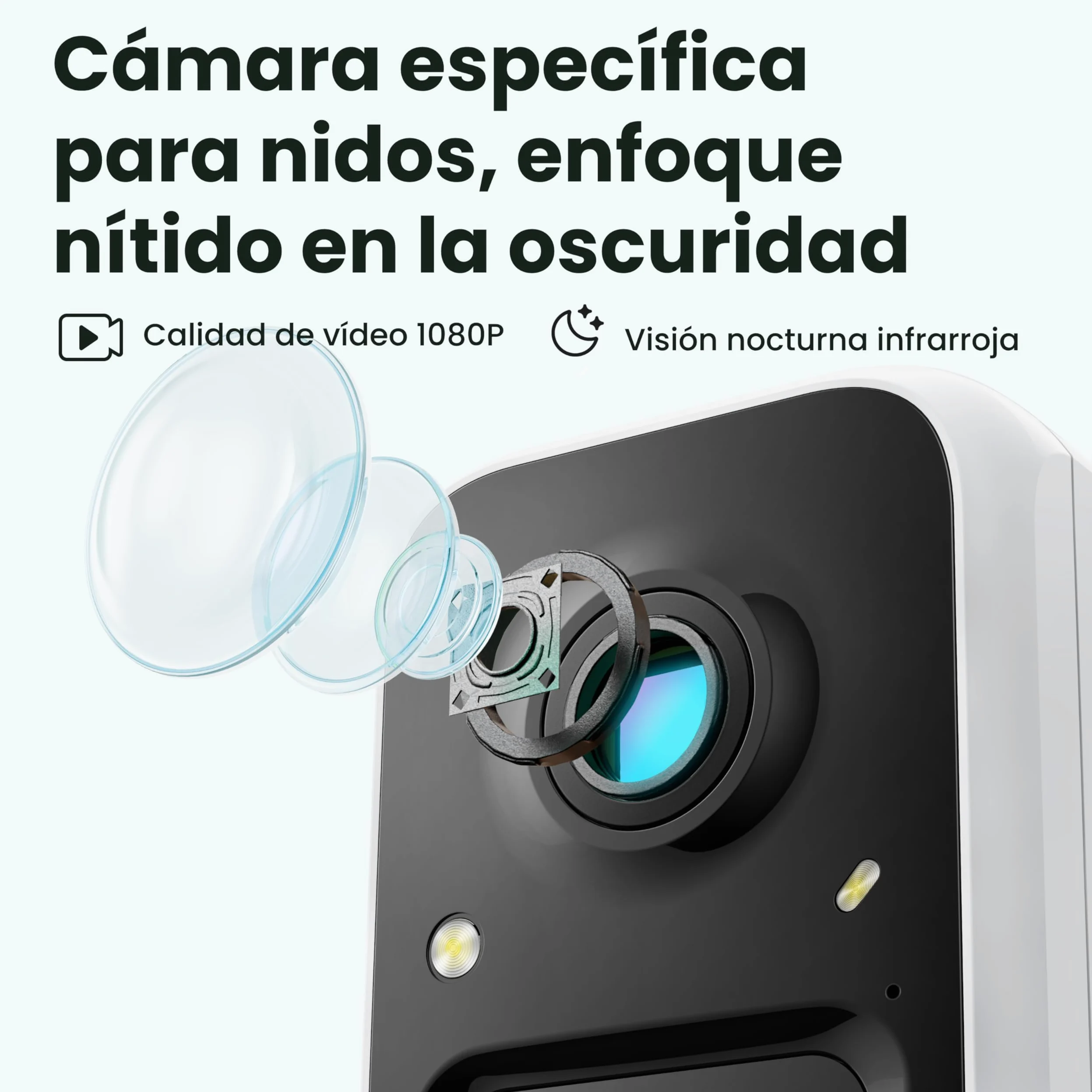 Birdfy Pajarera con cámara, nido con cámara, cámara de 2 millones de píxeles, para exteriores, observación en tiempo real de la construcción de nidos y cría de aves, detección de comportamiento de