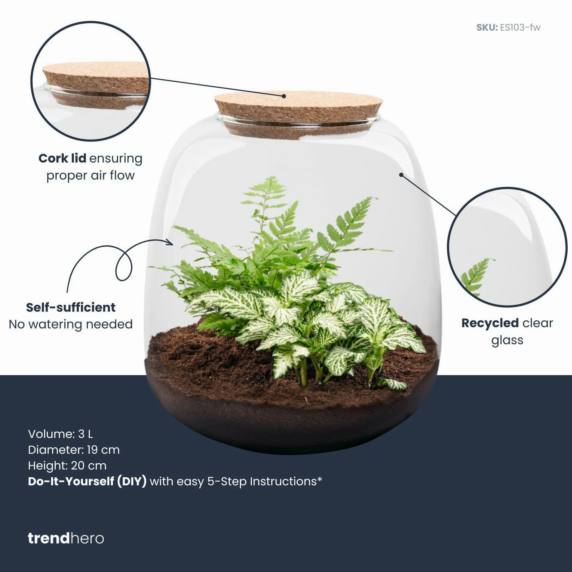 Terrario de Plantas de Cristal, Kit DIY de Interior, Verde, 20x19 cm