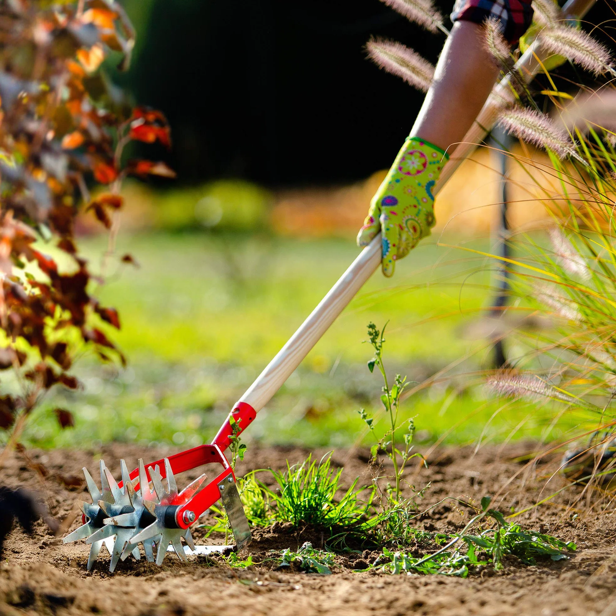 KADAX - Fresadora de Estrella con Cuchillo de jesser, fresadora de jardín, colector para aflojar el BO-Dens, cultivador para jardín, césped, Malas Hierbas, rallado, cultivador de Rodillo