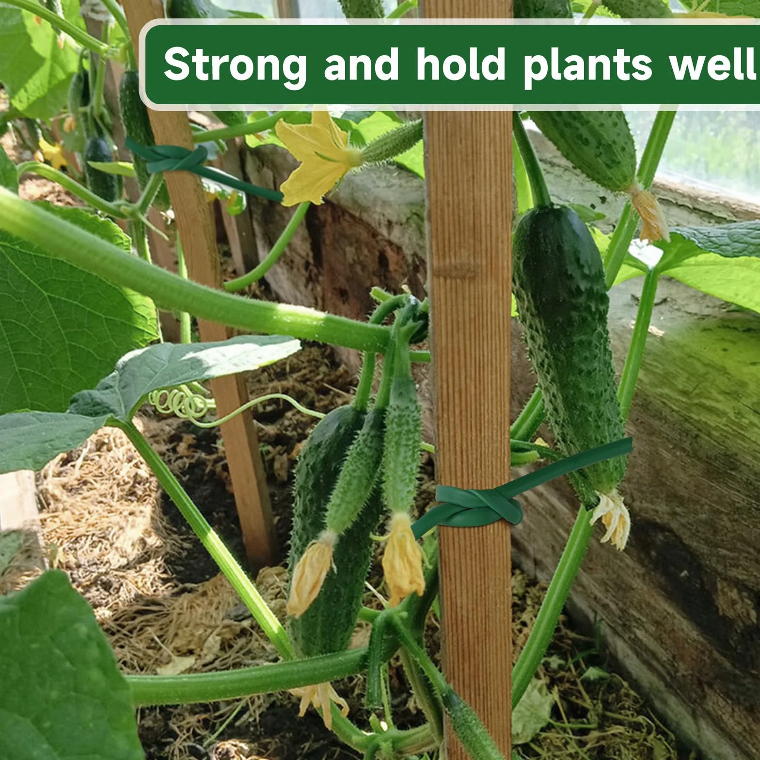 KINGLAKE Tubo de Atado Flexible, Cinta de Jardín Verde de 3mm x 50m para Plantas Trepadoras, Cuerda de Jardín de Plástico para Tomates, Rosas, Soporte para Vegetales