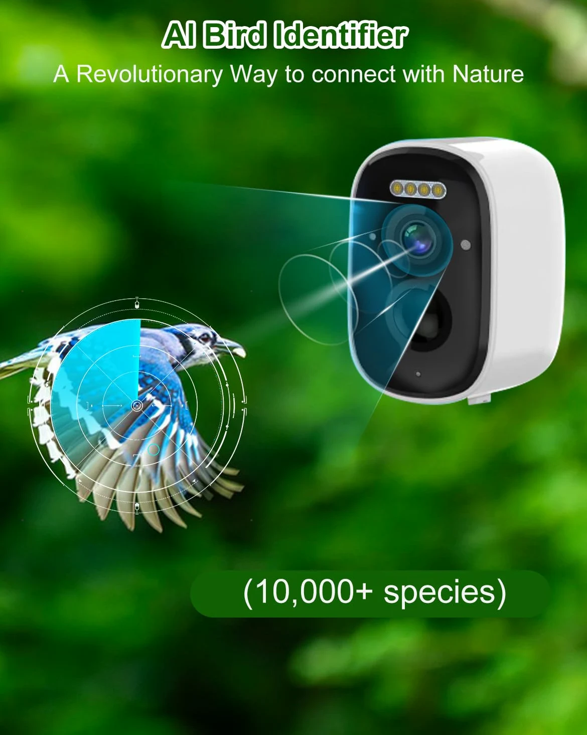 Caja nido con cámara HD alimentada por energía solar, Live Stream Al Detector de aves, observa la anidación y la eclosión, memoria en la nube y SD, entrada de 35 mm y protección IP65, idea de regalo