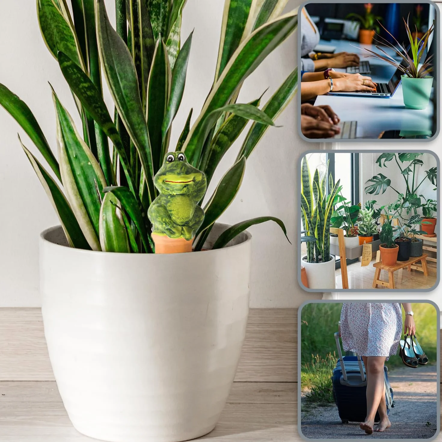 COM-FOUR® 3x Riego automático para plantas - Dispensador de agua para plantas - Conos de arcilla para regar flores (03 piezas - ranas)
