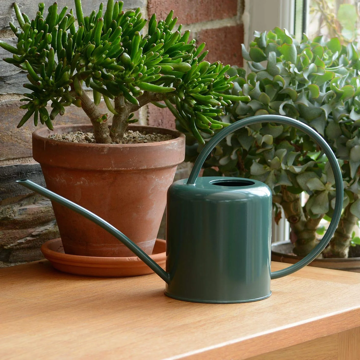 CKB LTD® - Regadera Interior de Acero galvanizado con Recubrimiento en Polvo para Plantas de Interior, diseño contemporáneo de Metal con Pico Estrecho y Mango Alto, 1,4 L Verde Oscuro