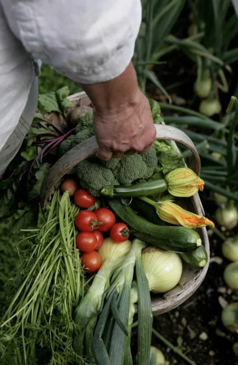 Abono Universal Huerta, Frutales, Césped y Ornamentales de 1,5 Kg | NPK 4-6-12 | Fertilizante Ecológico Completo y Equilibrado | Efecto Prolongado | Aplicación Fácil a Mano | Nexum Market