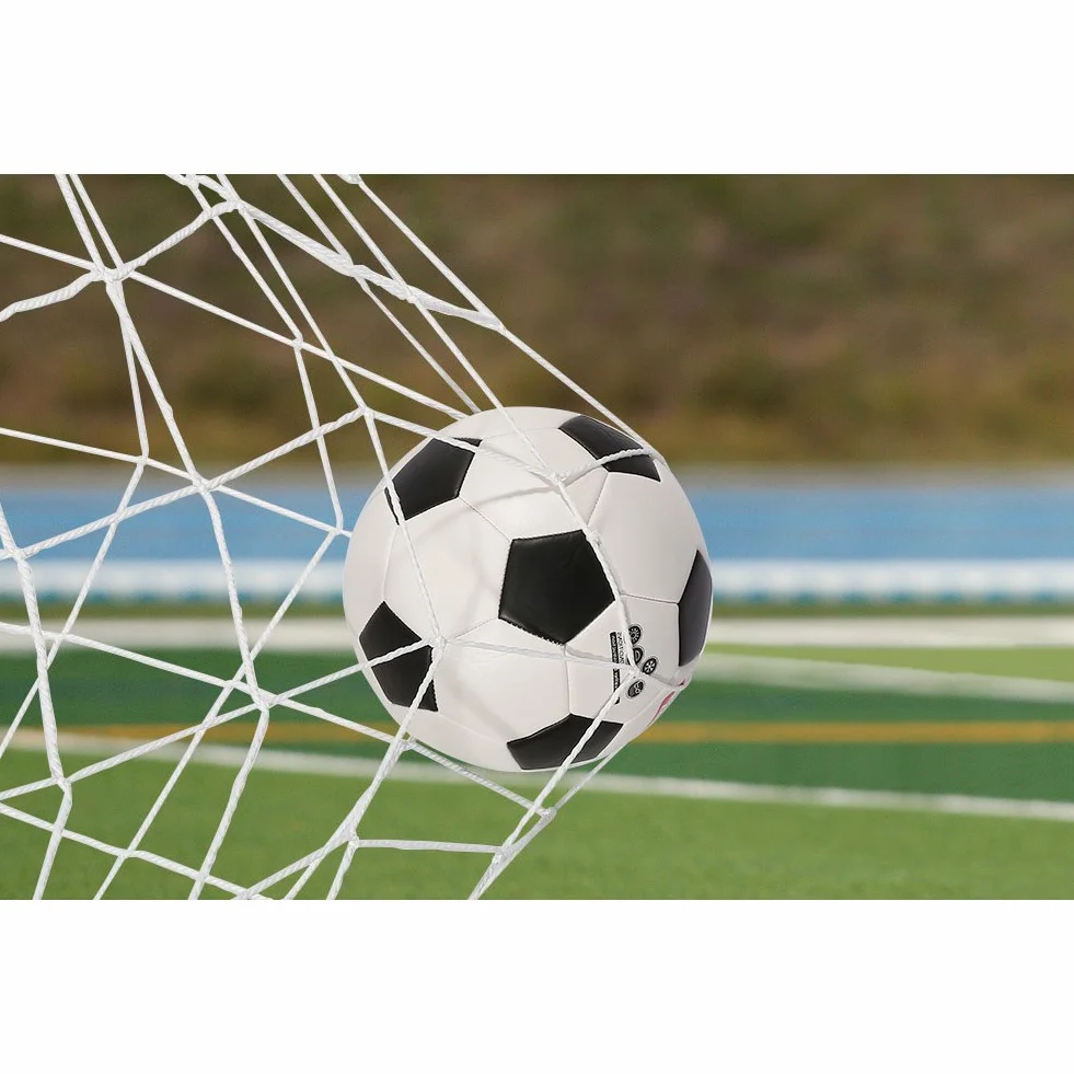 DEWIN Red de Portería de Fútbol, Red de Repuesto 8x6ft para Entrenamiento