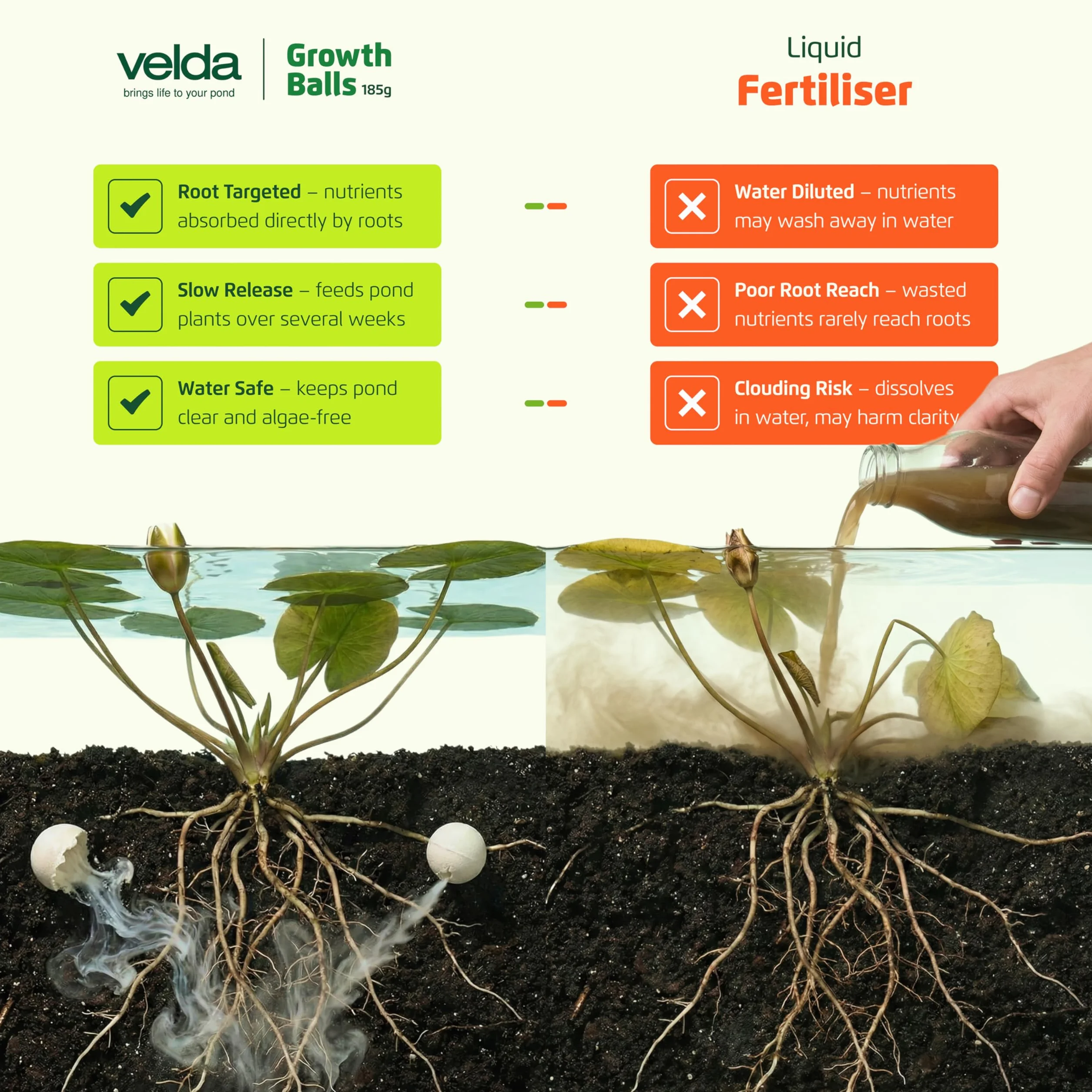 Velda 122250 fertilizante para plantas acuáticas, 50 bolas – bolas de crecimiento