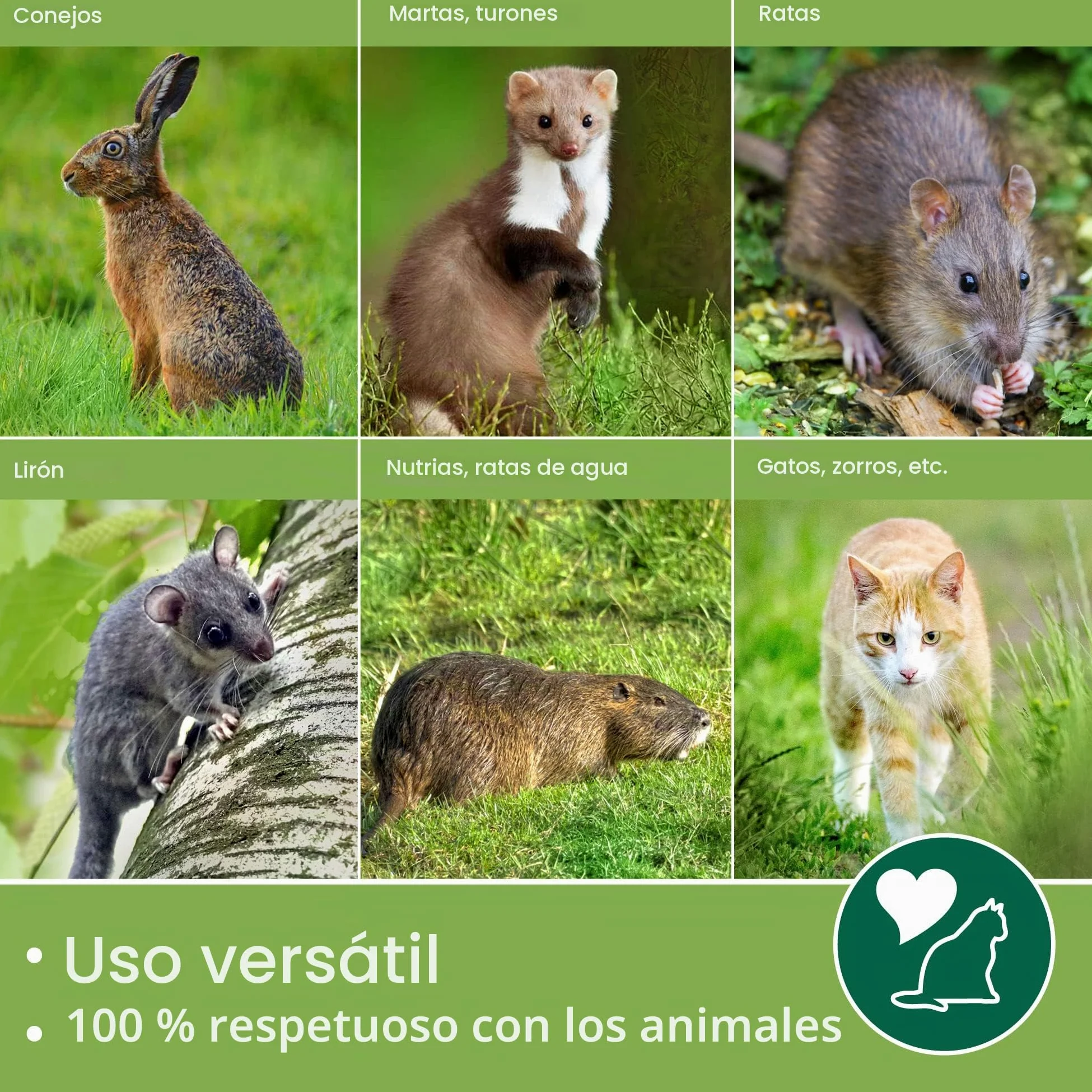 Moorland Trampa Viva XXL para martas con 2 entradas Reutilizable Caja Gatos | 100x25x25cm de animales para zorros estable y respetuosa ratas jaula captura Safe 5007