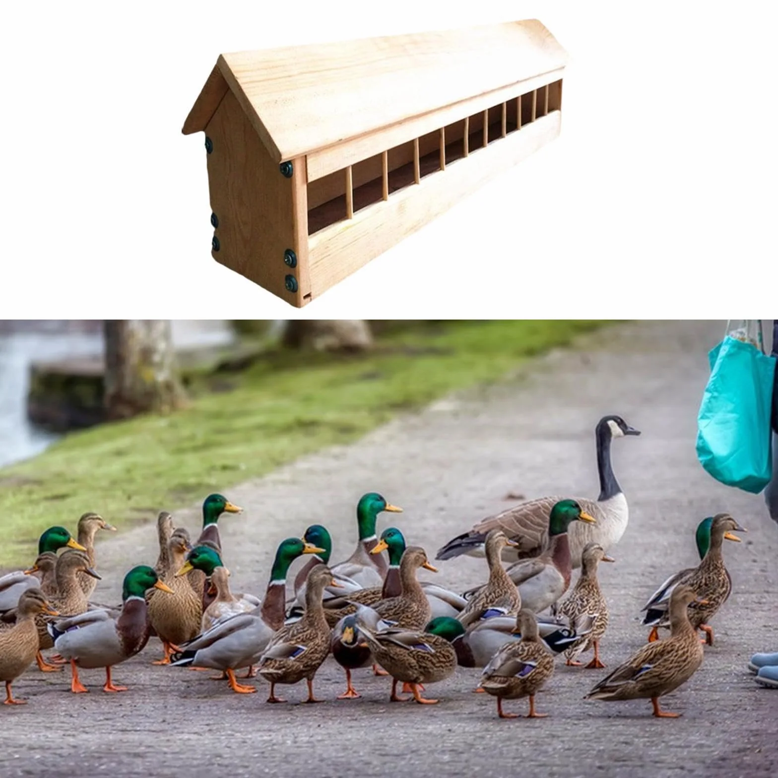 Comedero para Palomas, Comedero, Dispensador de Comida para Pájaros, Menos Desperdicio, Suministros para Aves