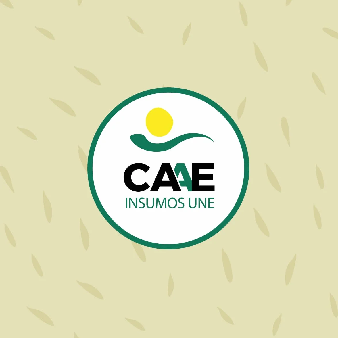 CULTIVERS Quelato de Hierro Ecológico 2x1 kg | Abono soluble con Hierro Fe-EDDHA 6% (orto-orto 4,8%) para Plantas y Cultivos en Suelos con Baja Disponibilidad de Hierro