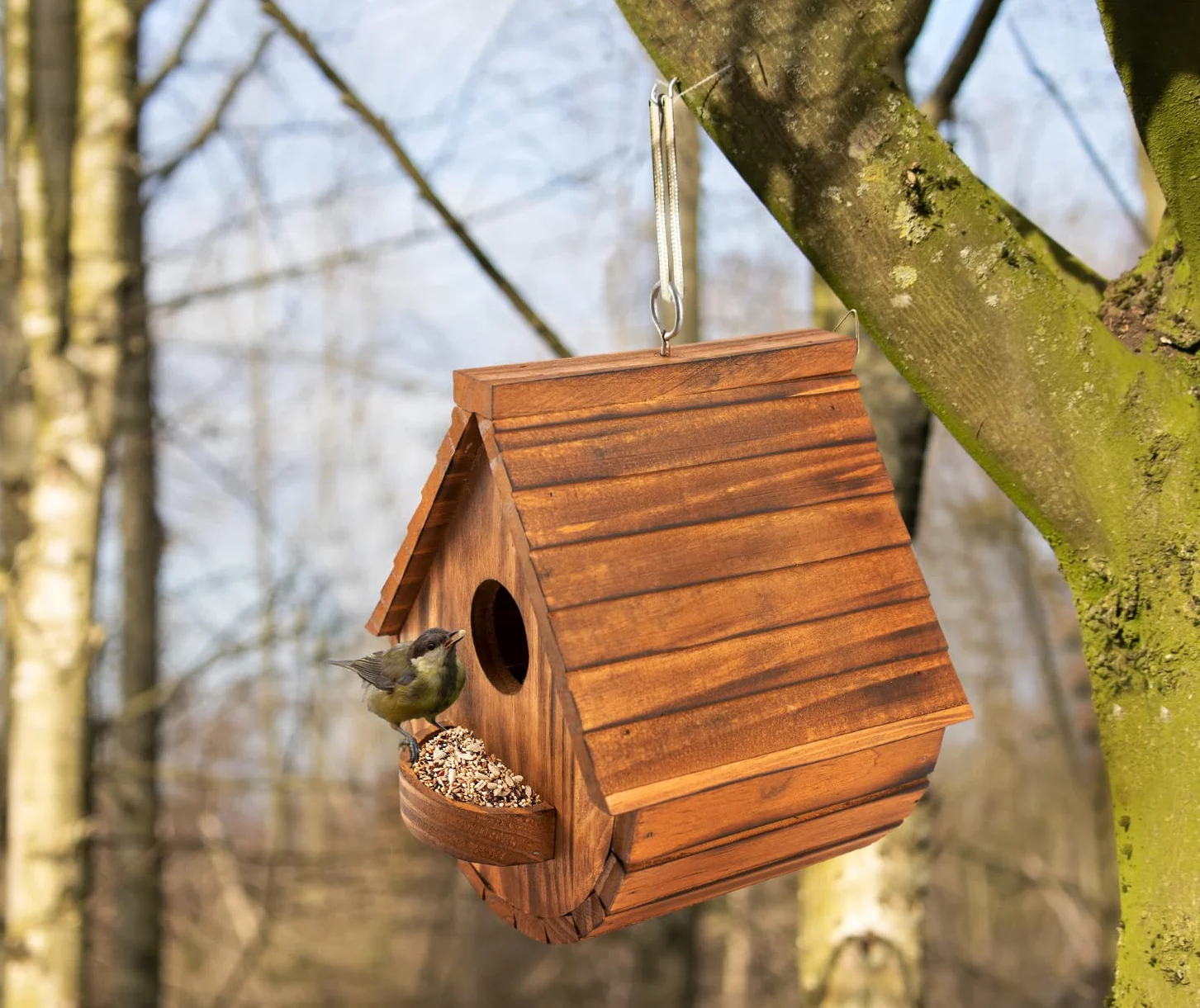 MIXUMON Casas de pájaros para exteriores, 3 agujeros para exteriores, para 3 familias de pájaros, pinzón de azulejo cardenales, casa de pájaros colgante para jardín (juego 1)