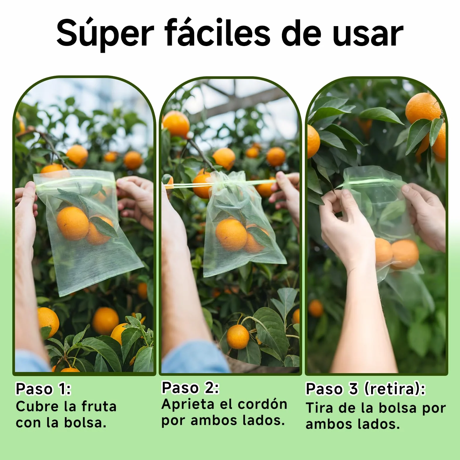 50 Bolsas Protectoras para Uvas con cordón de 15×20 cm, Bolsas de Fruta Reutilizables de Organza en Malla Verde, Red antipájaros para el huerto