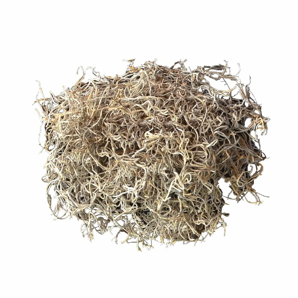 Mosser Lee ML0560 - Musgo español, 250 CU. In.