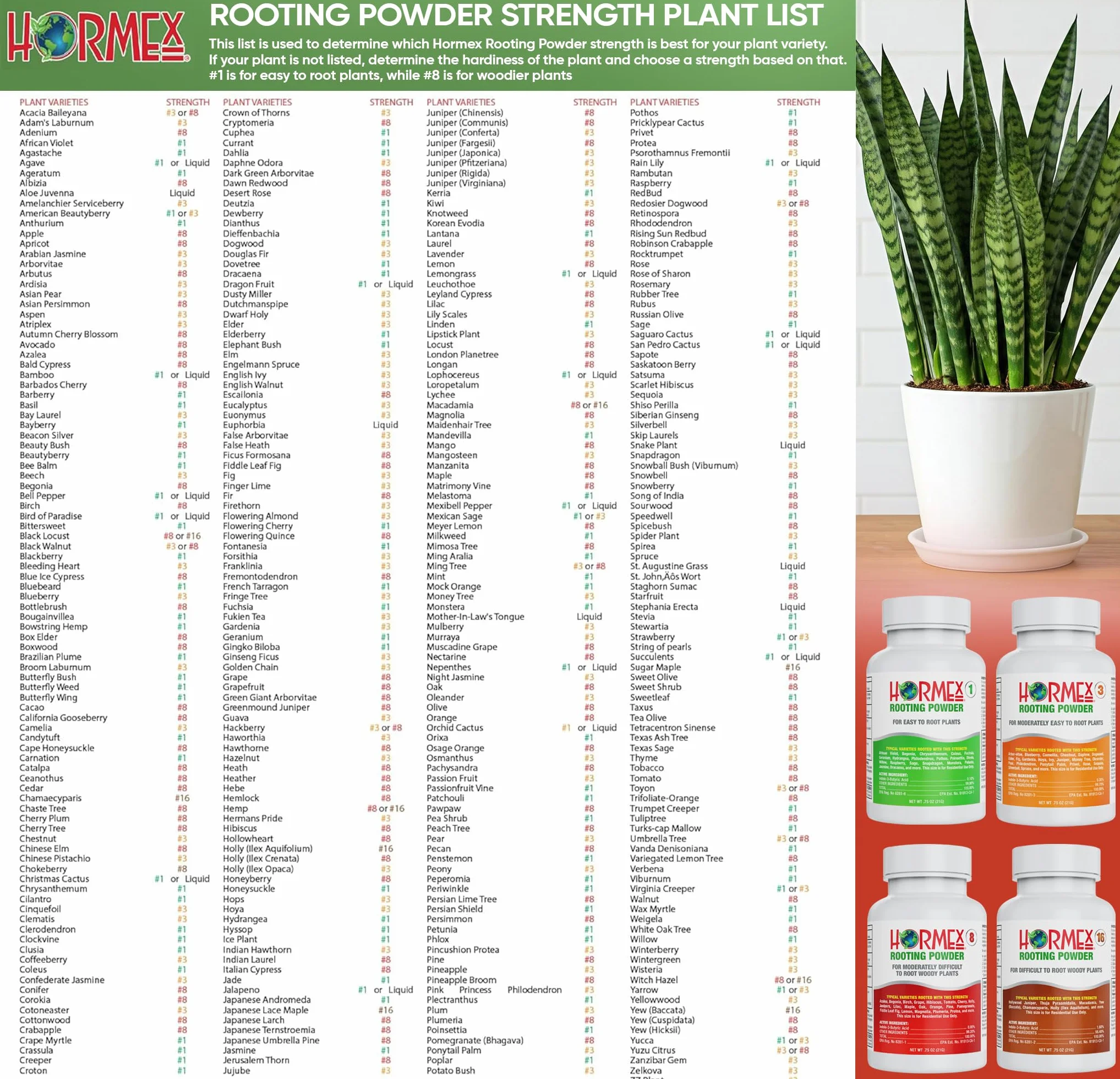 Hormex SNIP N Dip Rooting Polvo nº 8 – 3/4oz