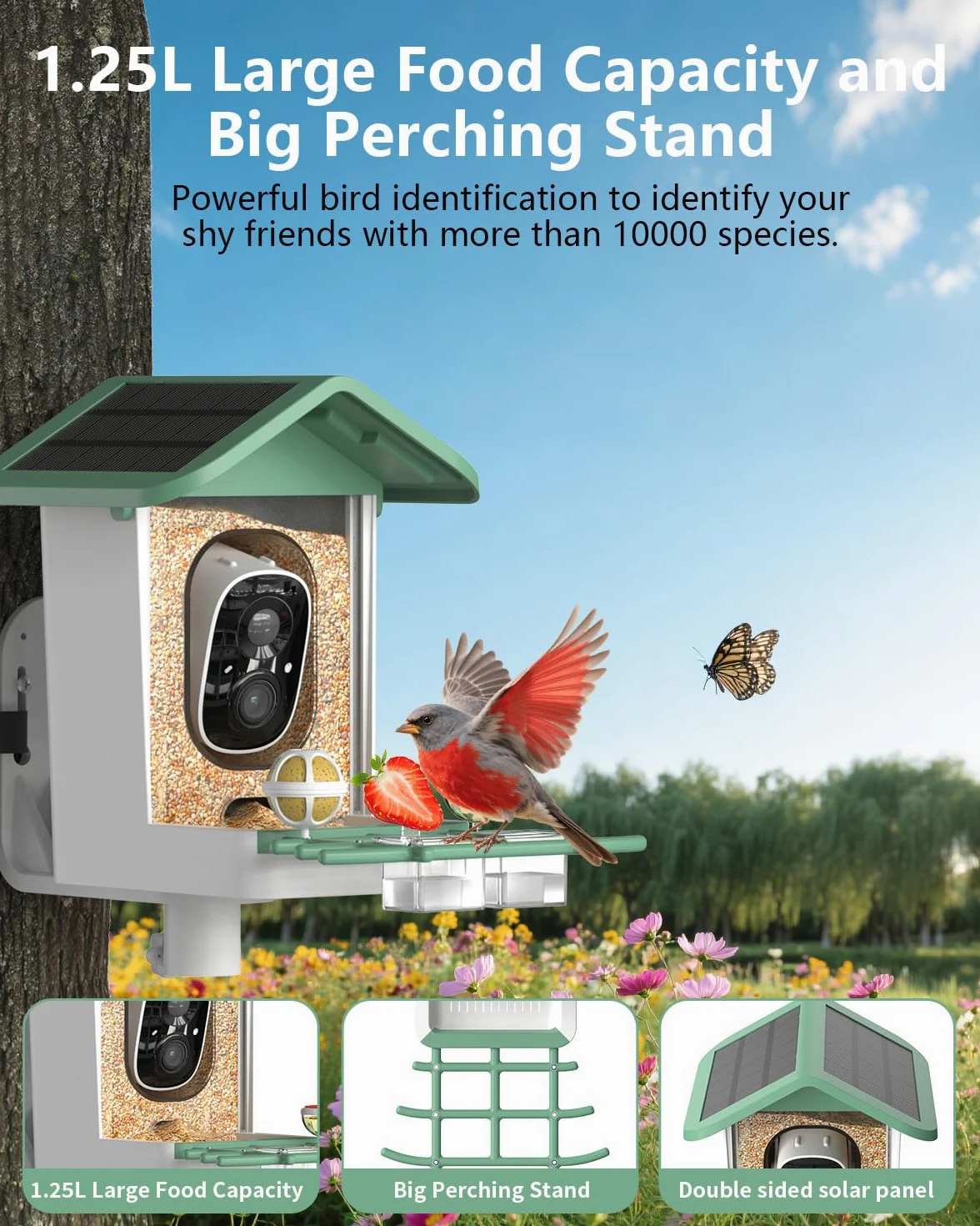 Comedero para pájaros con cámara, cámara inteligente 2K para pájaros con energía solar, identificación de especies de pájaros, notificaciones instantáneas, regalo ideal para familiares y amantes de