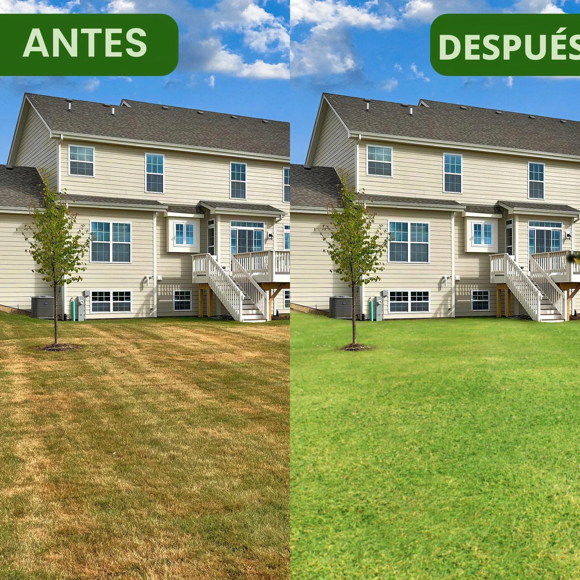 Deecam Aireador Cesped, herramienta de jardín para airear terrazas y patio