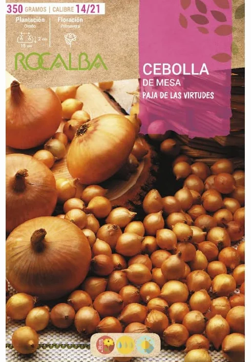Bulbo de cebolla para plantar variedad "paja virtudes" 350gr - Rocalba