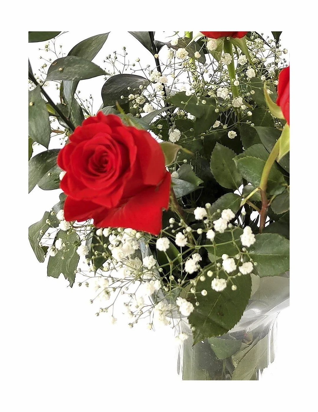 JARDIN202 - Ramo de Rosas Rojas Naturales | Flor Natural | Ramo de rosas rojas frescas | 60cm de alto | Ramo de 6 tallos (Estilo tradicional)