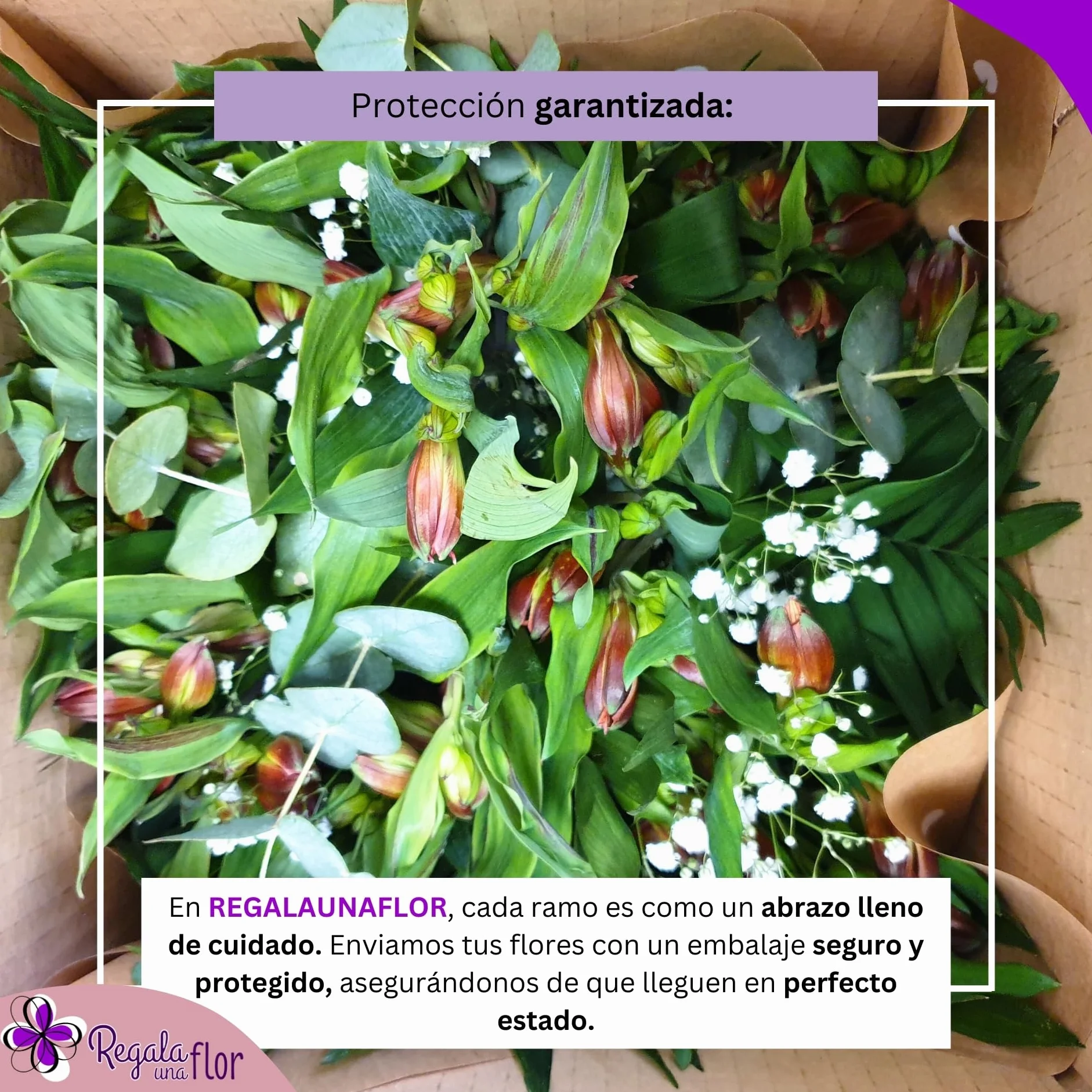 REGALAUNAFLOR | Ramo de flores naturales a domicilio | Entrega puntual en 24 horas de Lunes a Sábado | Con tarjeta de dedicatoria | Alstroemeria roja