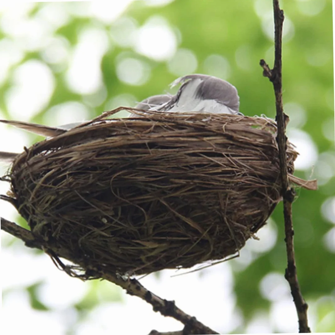 Pájaros realistas con plumas artificiales con huevo de nido para el hogar, jardín, ornamento de jardín, manualidades al aire libre, pájaro realista para ventana, jardín, balcón, patio, césped, patio