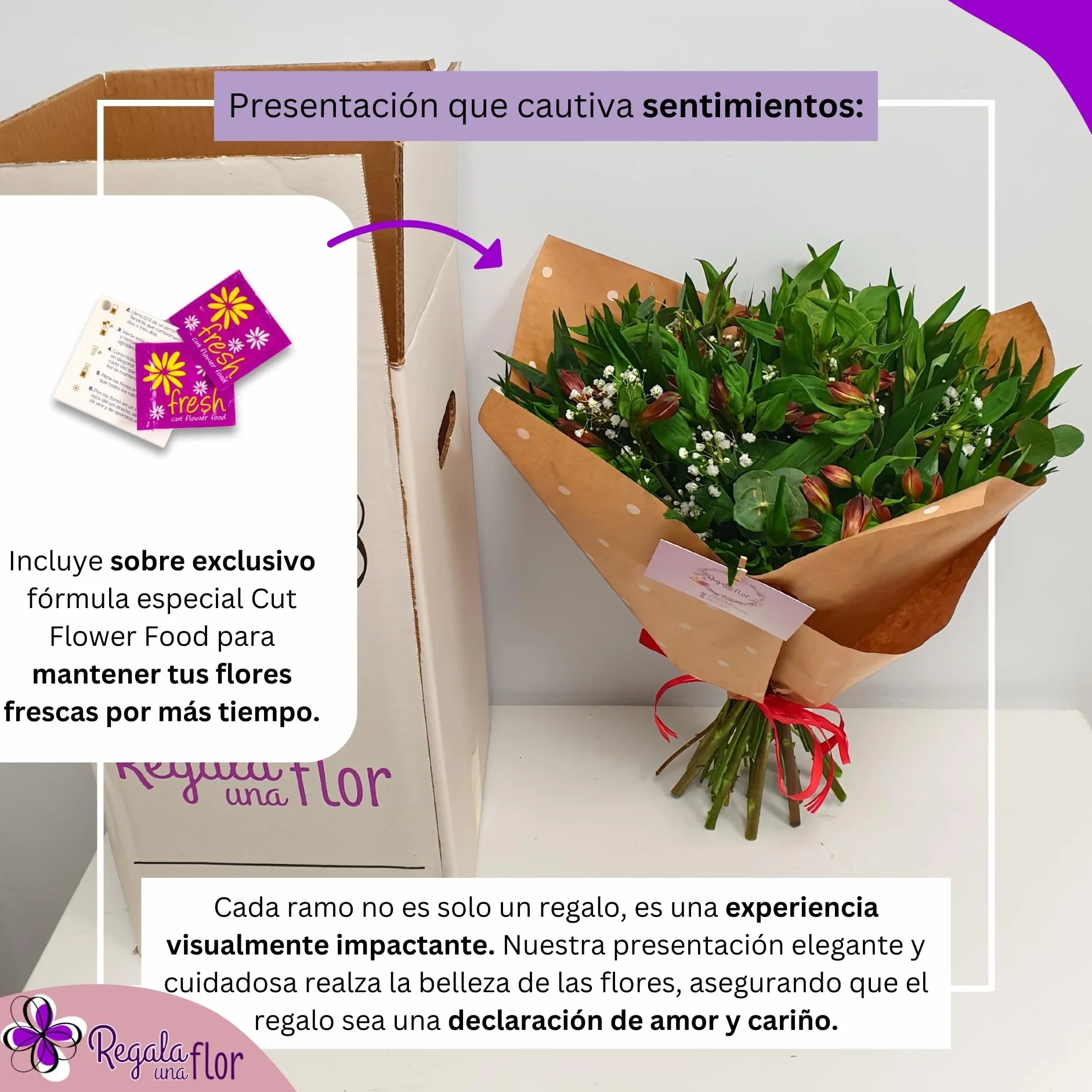 REGALAUNAFLOR | Ramo de flores naturales a domicilio | Entrega puntual en 24 horas de Lunes a Sábado | Con tarjeta de dedicatoria | Alstroemeria roja