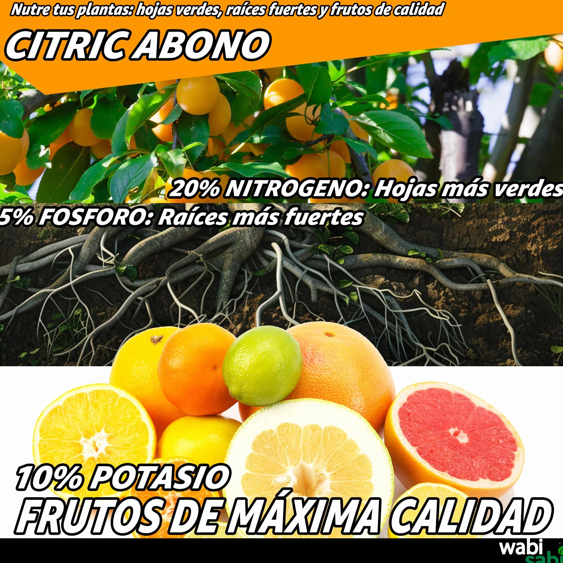 CITRIC ABONO Abono para Cítricos Premium NPK 20-5-10, Hierro, Calcio y Micronutrientes - Mejora Frutos, Fortalece Raíces y Evita Amarillamiento - Ecológico y Orgánico (7kg)