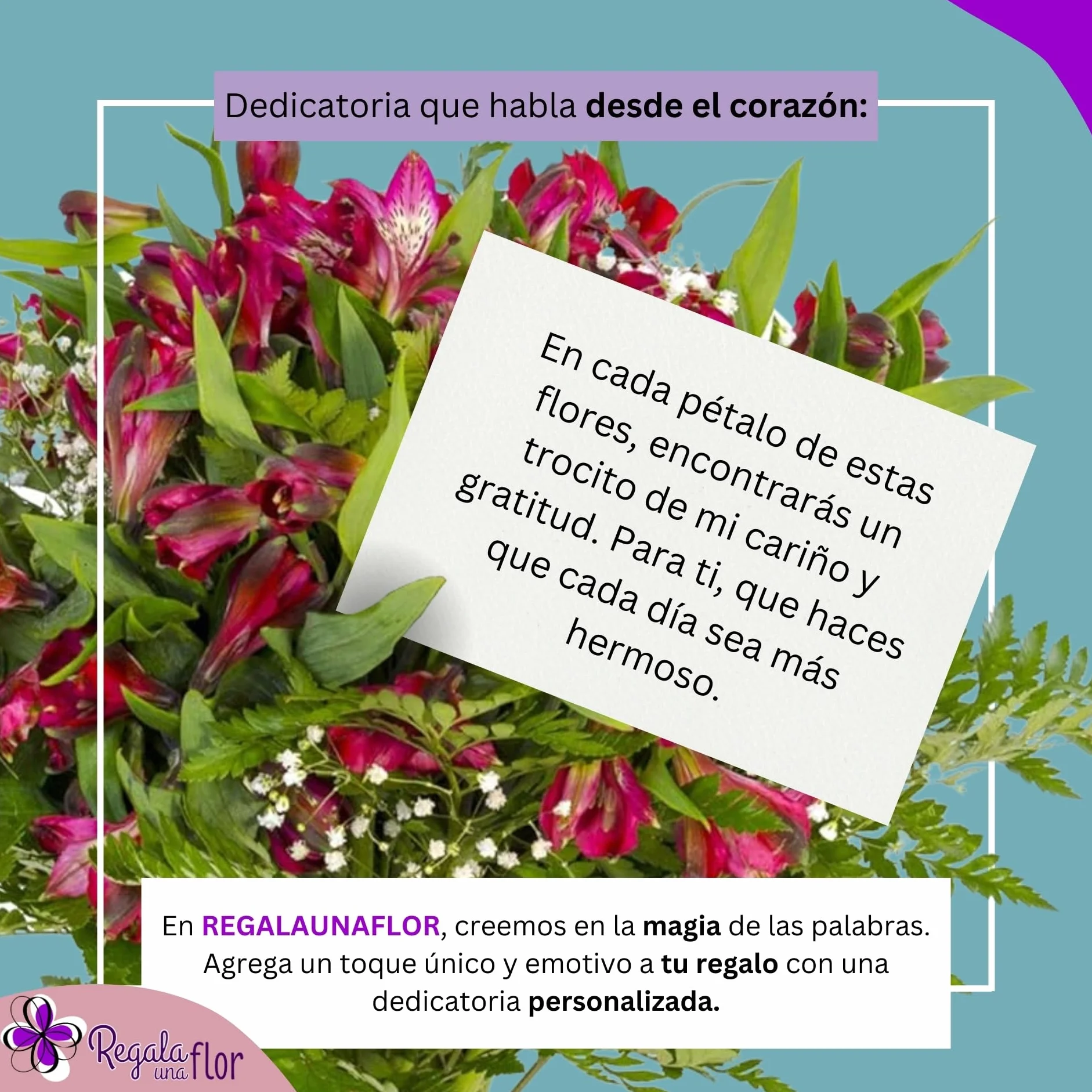 REGALAUNAFLOR | Ramo de flores naturales a domicilio | Entrega puntual en 24 horas de Lunes a Sábado | Con tarjeta de dedicatoria | Alstroemeria roja