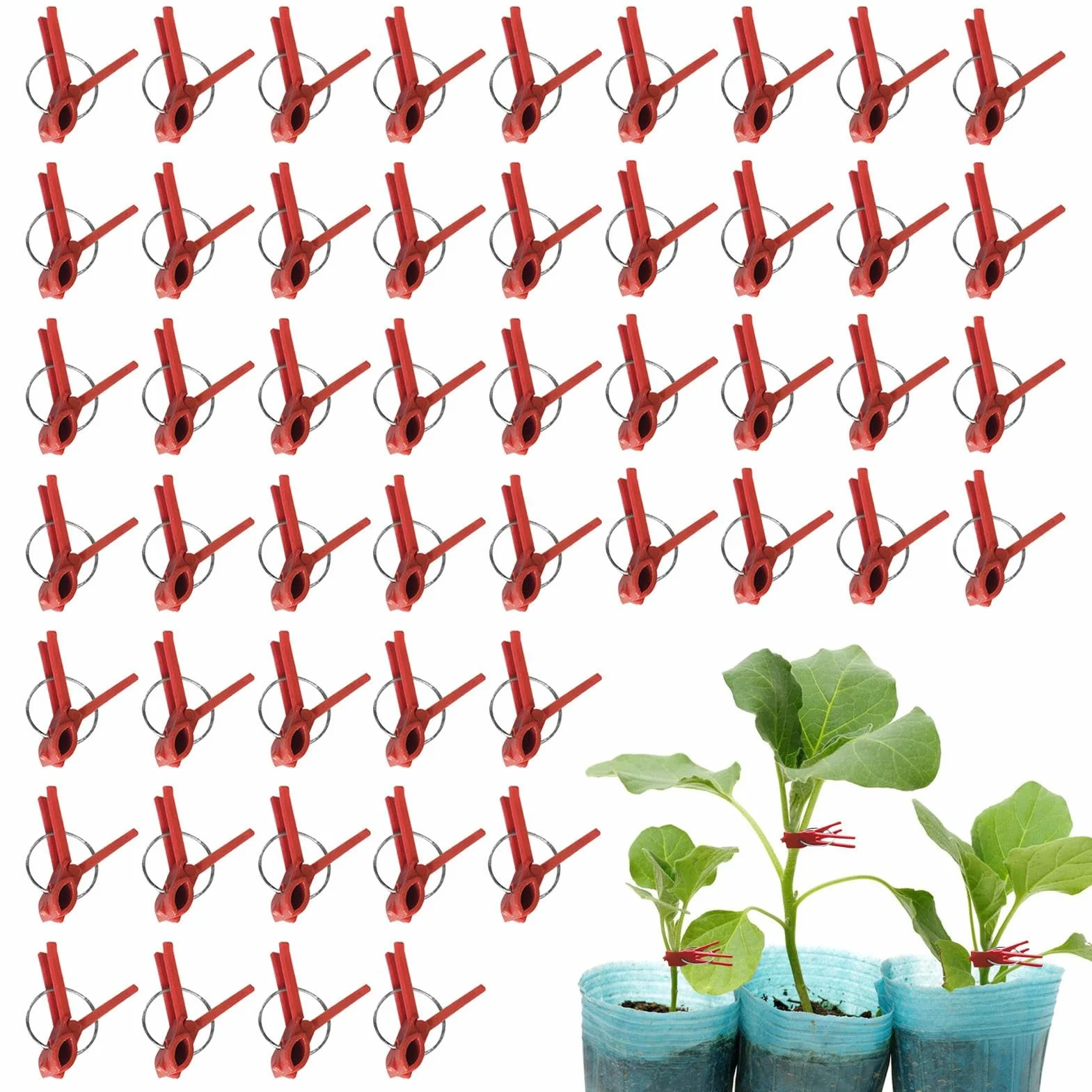 Clips de injerto de plantas, clips de injerto de vegetales | Paquete de 50 abrazaderas de fijación de plantas,Soporte de escalada en la connectas para una enredadera de vegetales, conector de jardiner